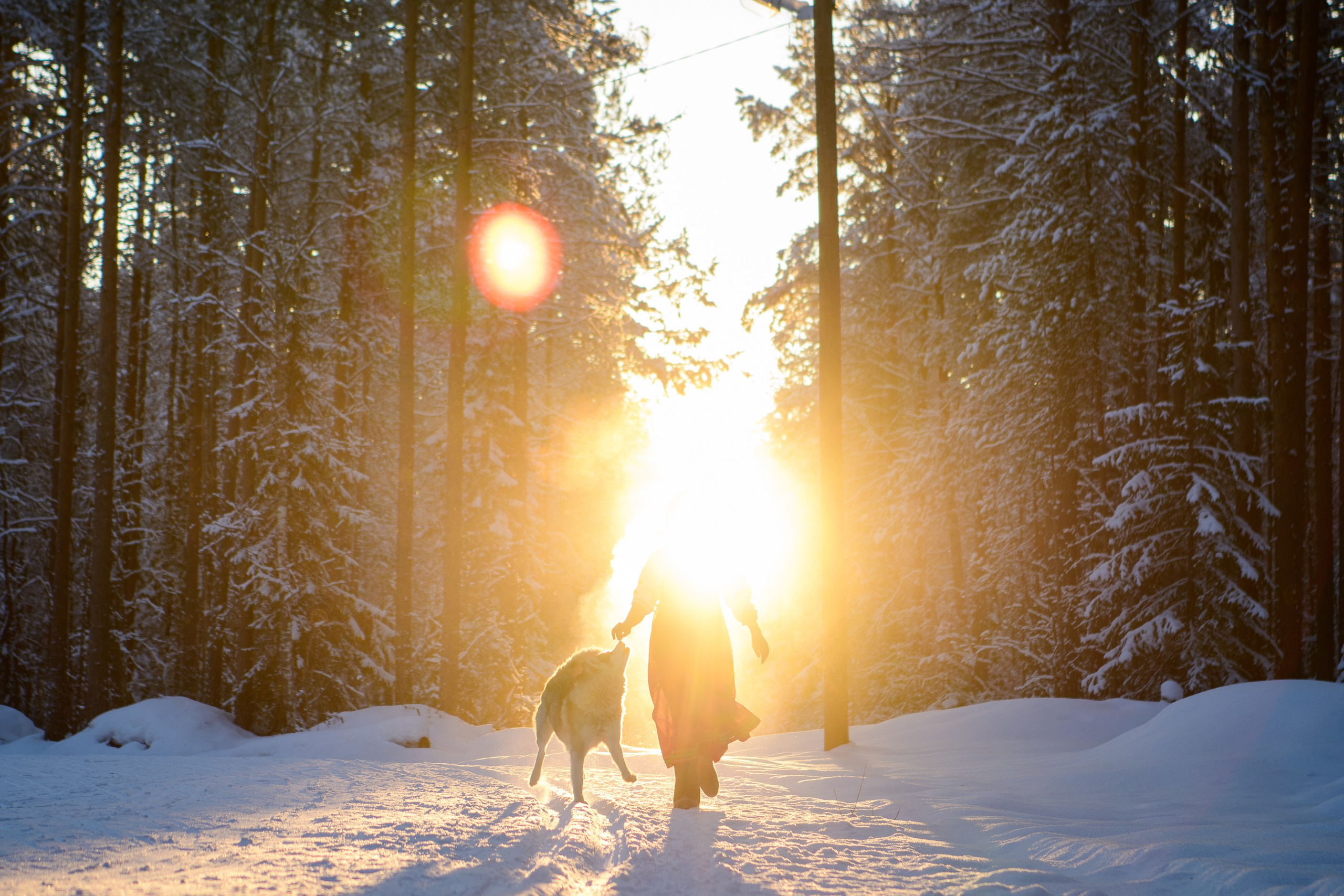 Катерина. Главная