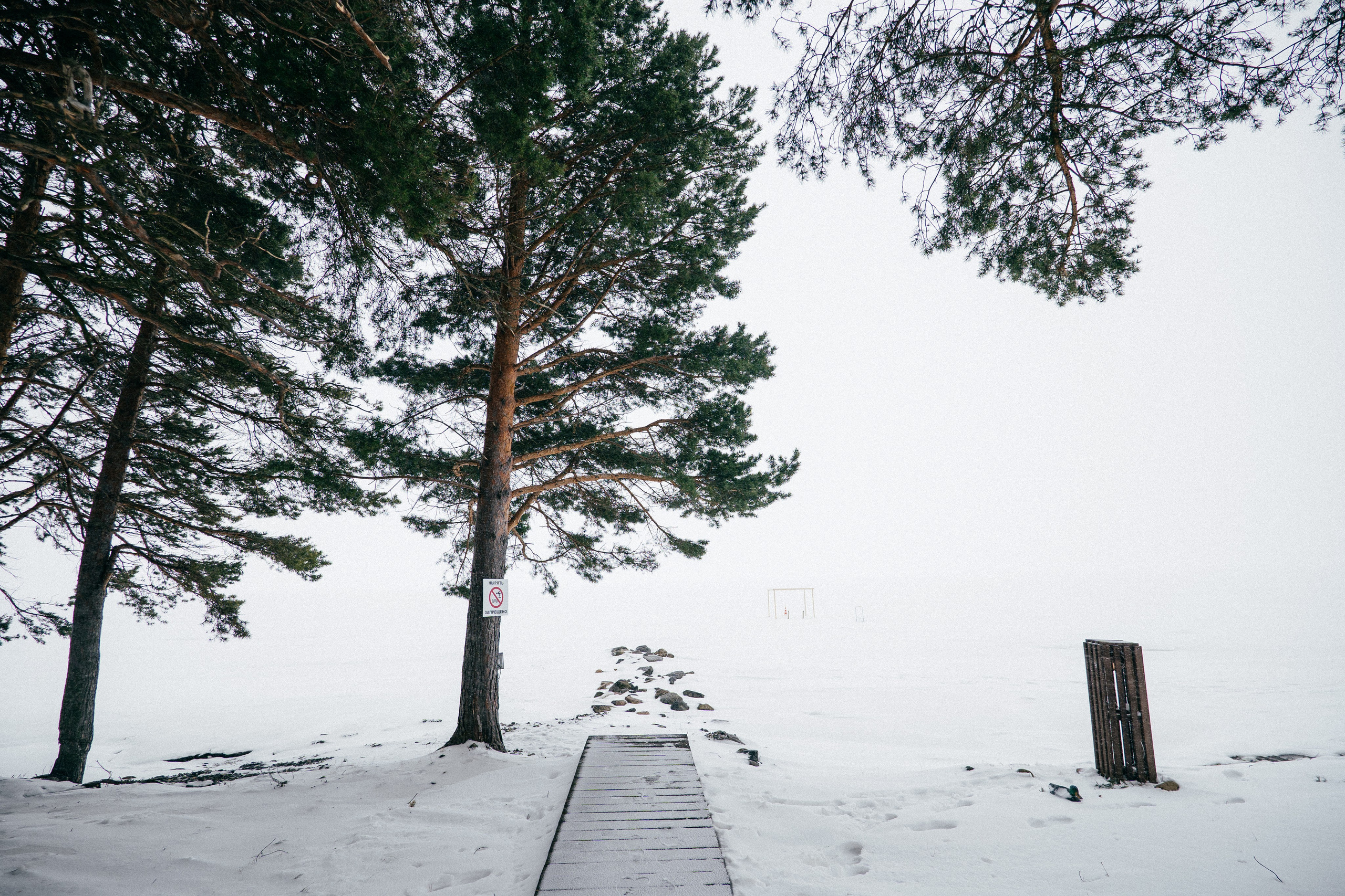 TALEO. Создание контента | Фото | Видеосъемка | Александр Ярков