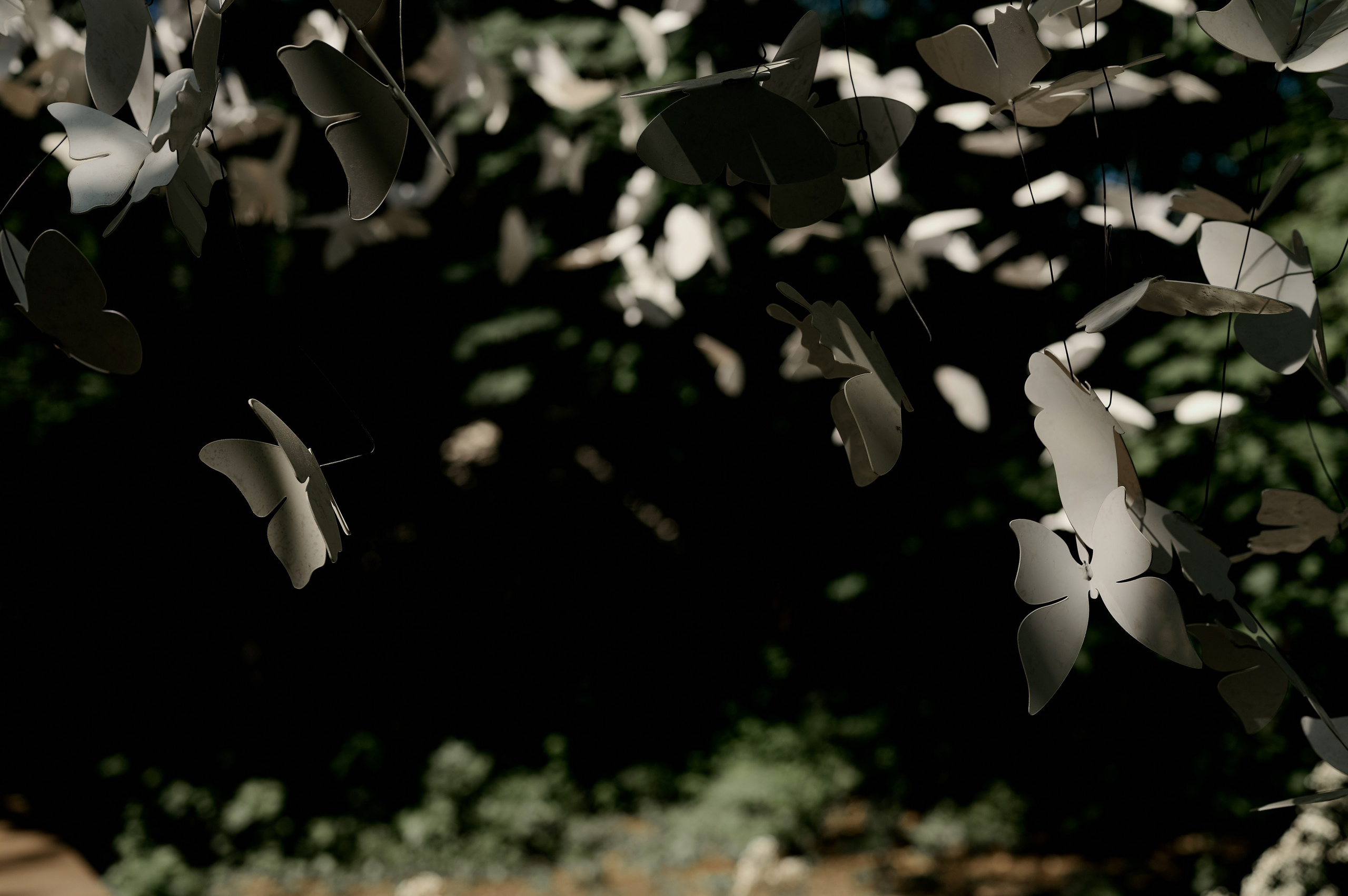 K&D. Свадебный и репортажный фотограф