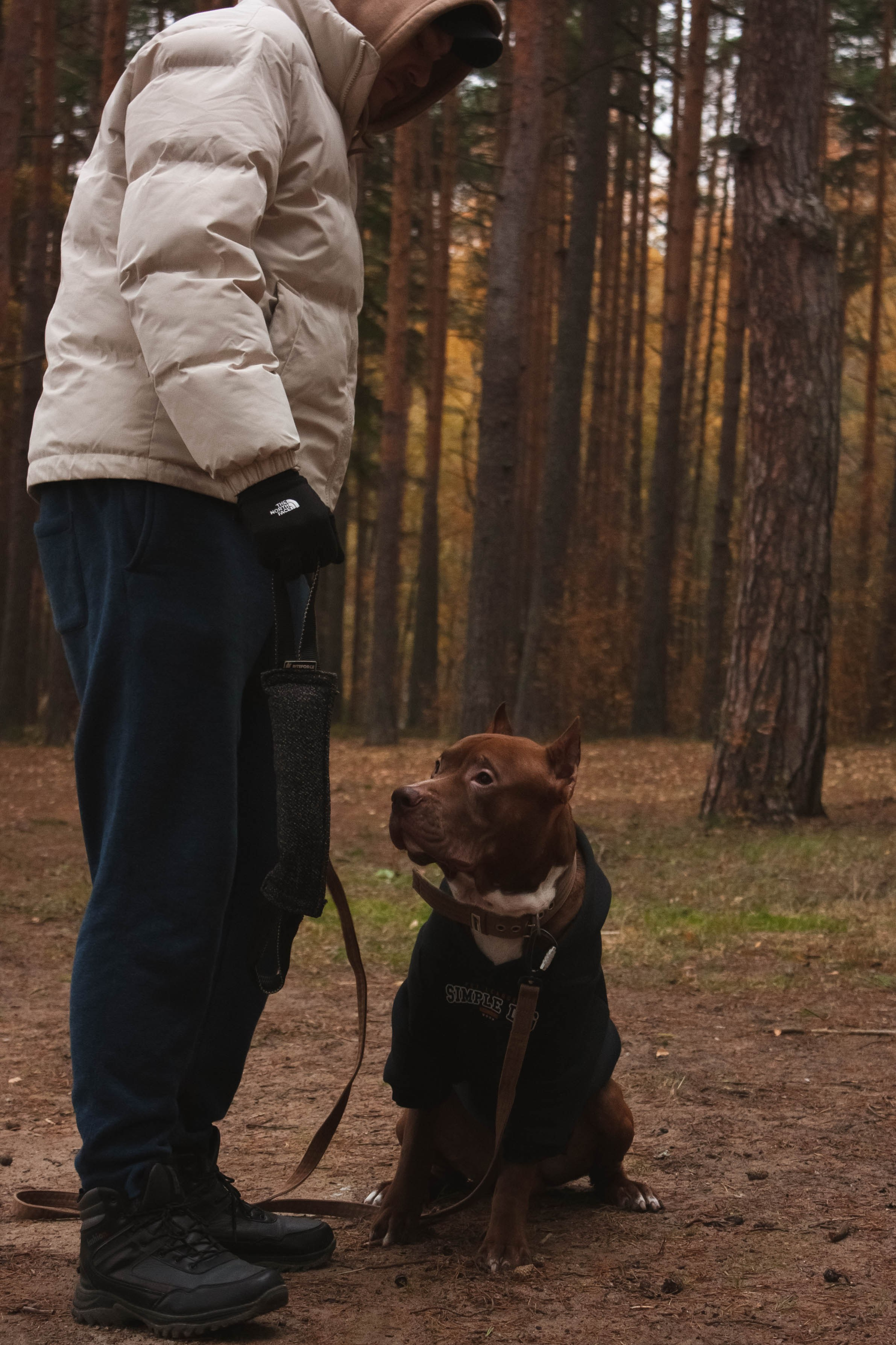 Айрон и Егор. Фотограф-анималист в Санкт-Петербурге Алина Яхонт