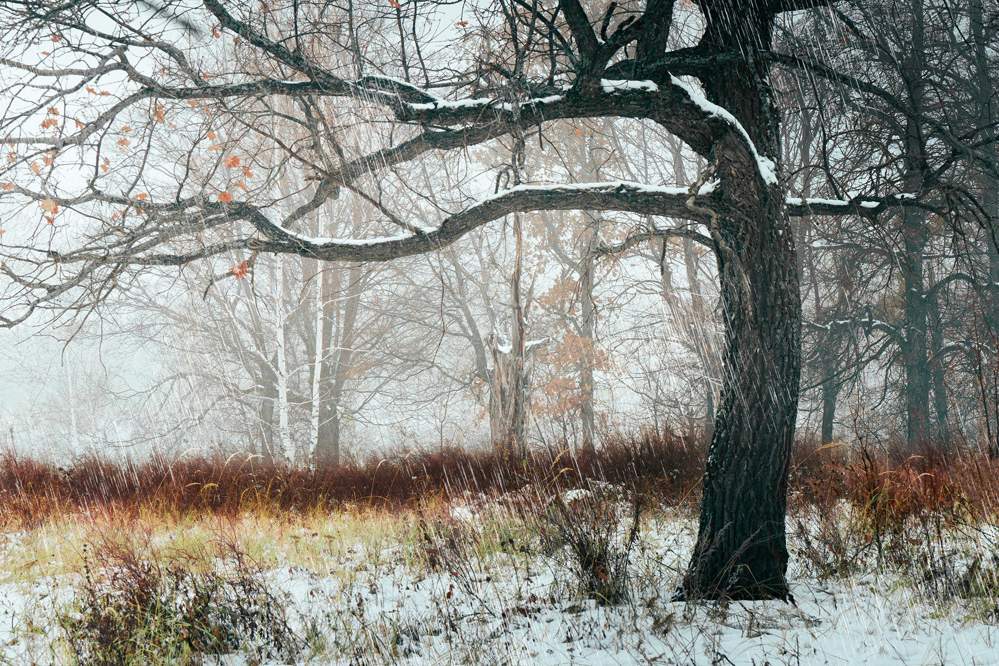 Пейзажный фотограф Руслан Лукманов