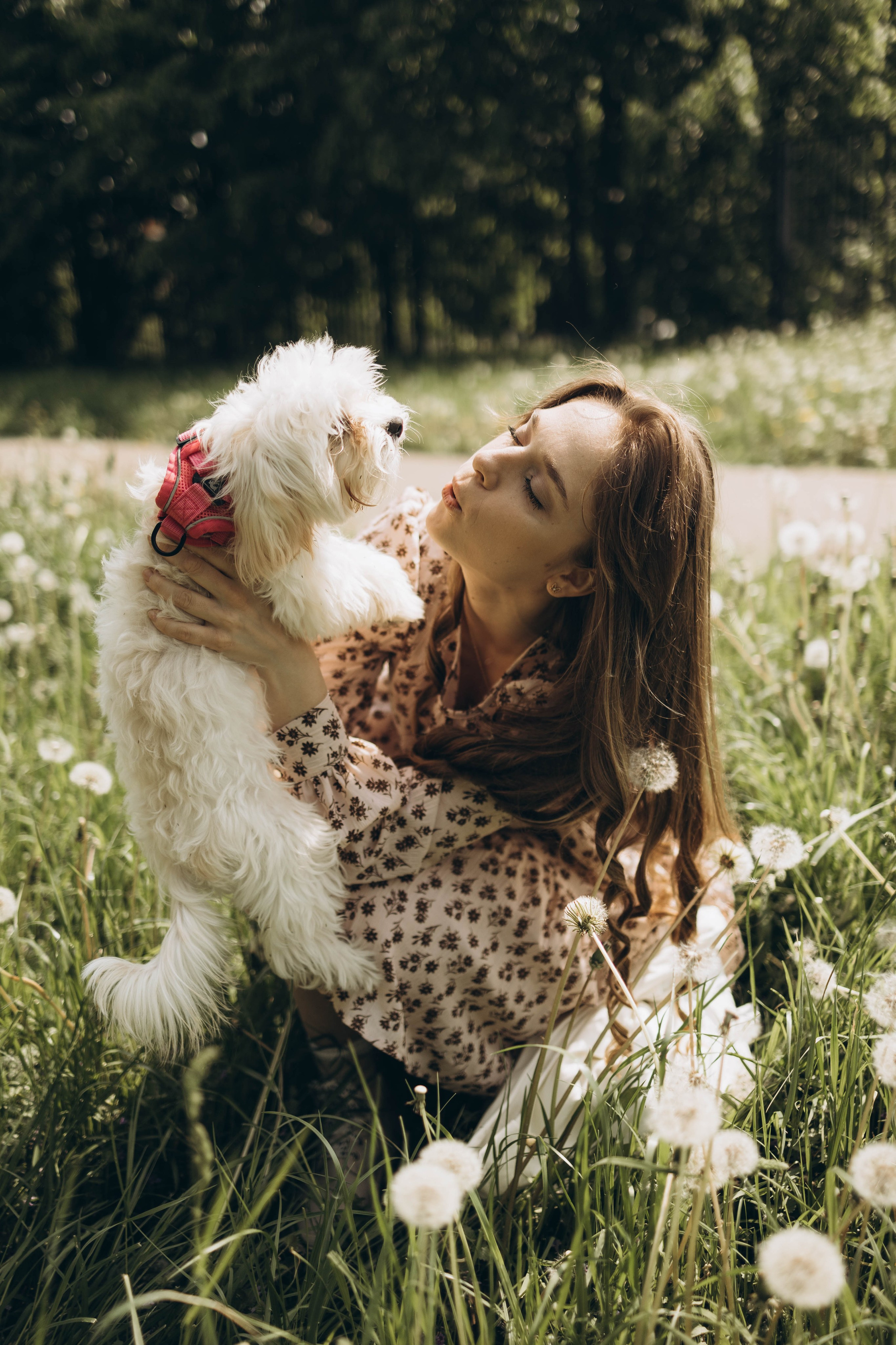 Полина, Дима, Тёма и Мили. Семейный фотограф в Москве Виктория Ястребинская
