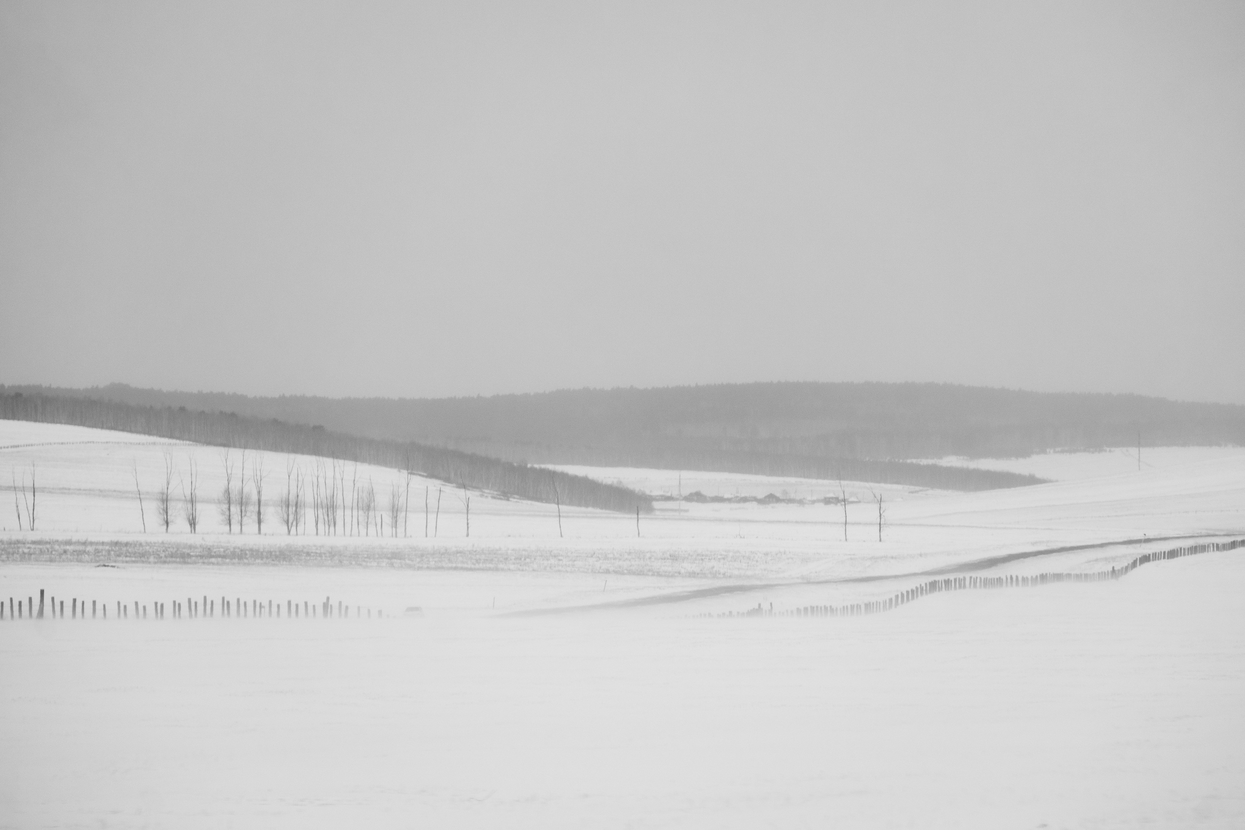 Silence. Irina Borodina