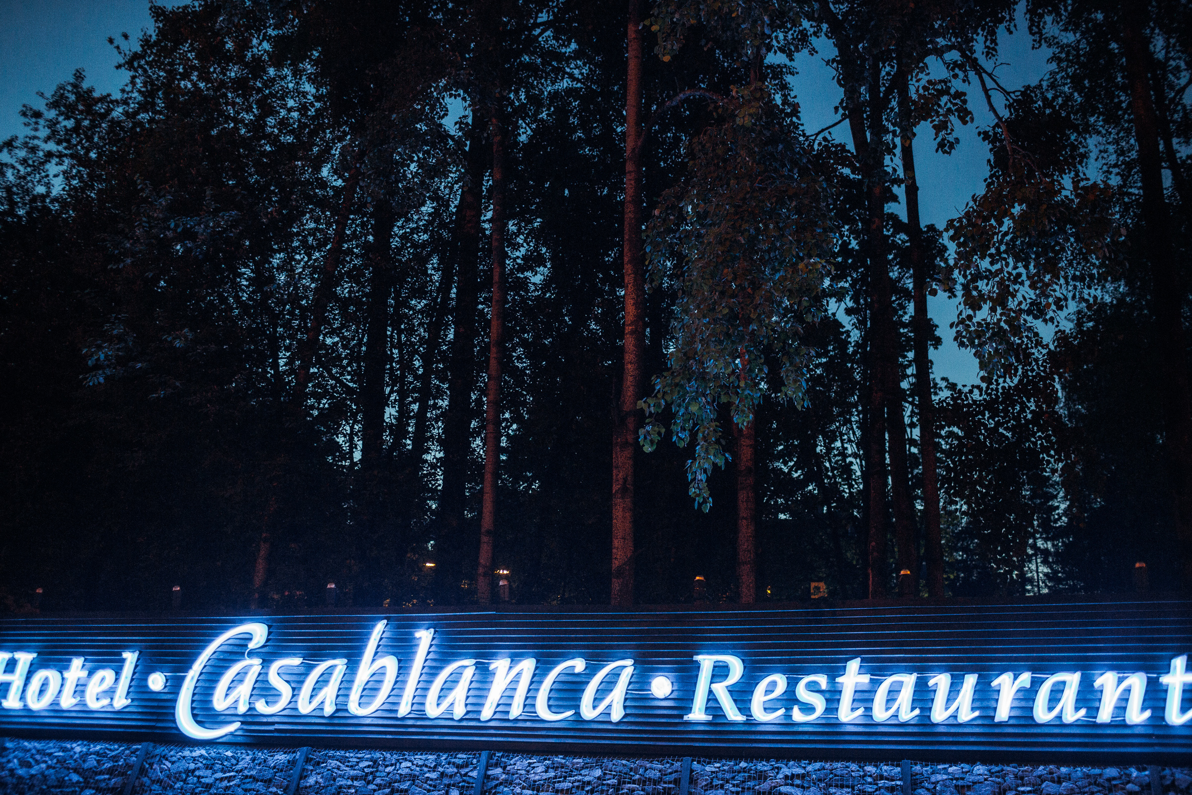 Свадьба Андрея и Марины в Спб. Фотограф Антон Бубликов Сыктывкар