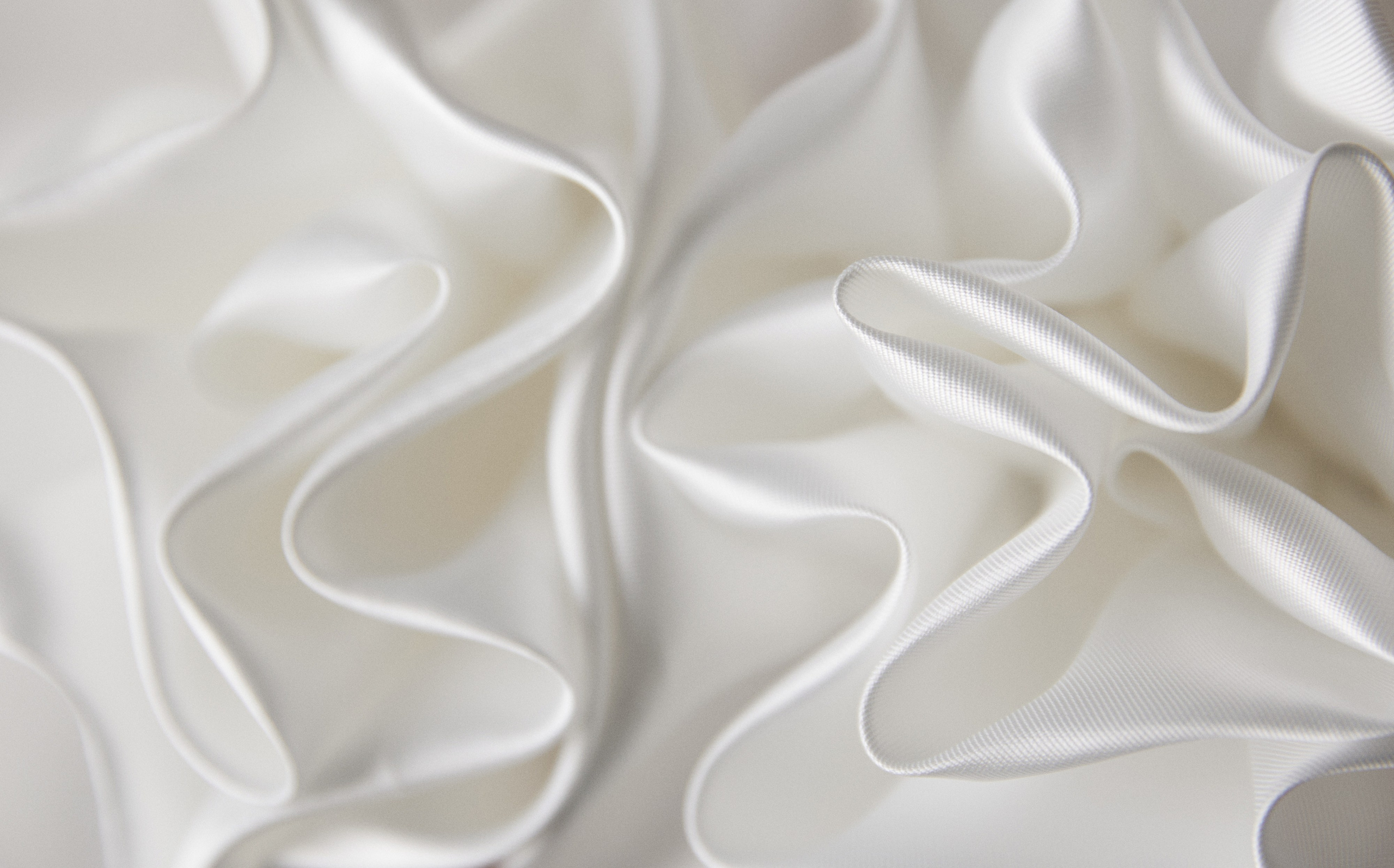 Аполлинария и Александр (в качестве 2го фотографа г. Тюмень). Свадебный фотограф Москва Калуга