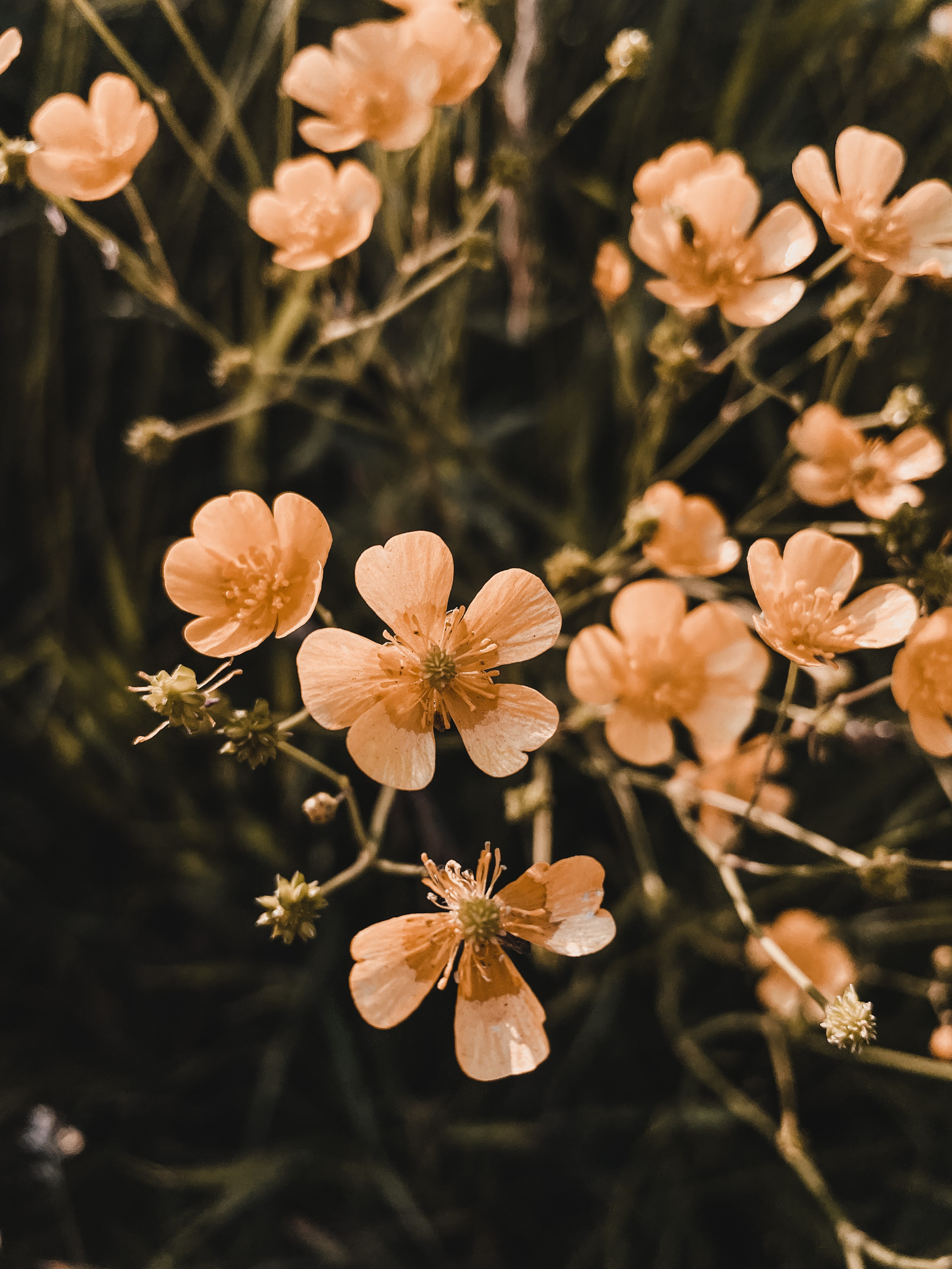 Пейзаж. Фотограф Олеся Шипихина г. Москва