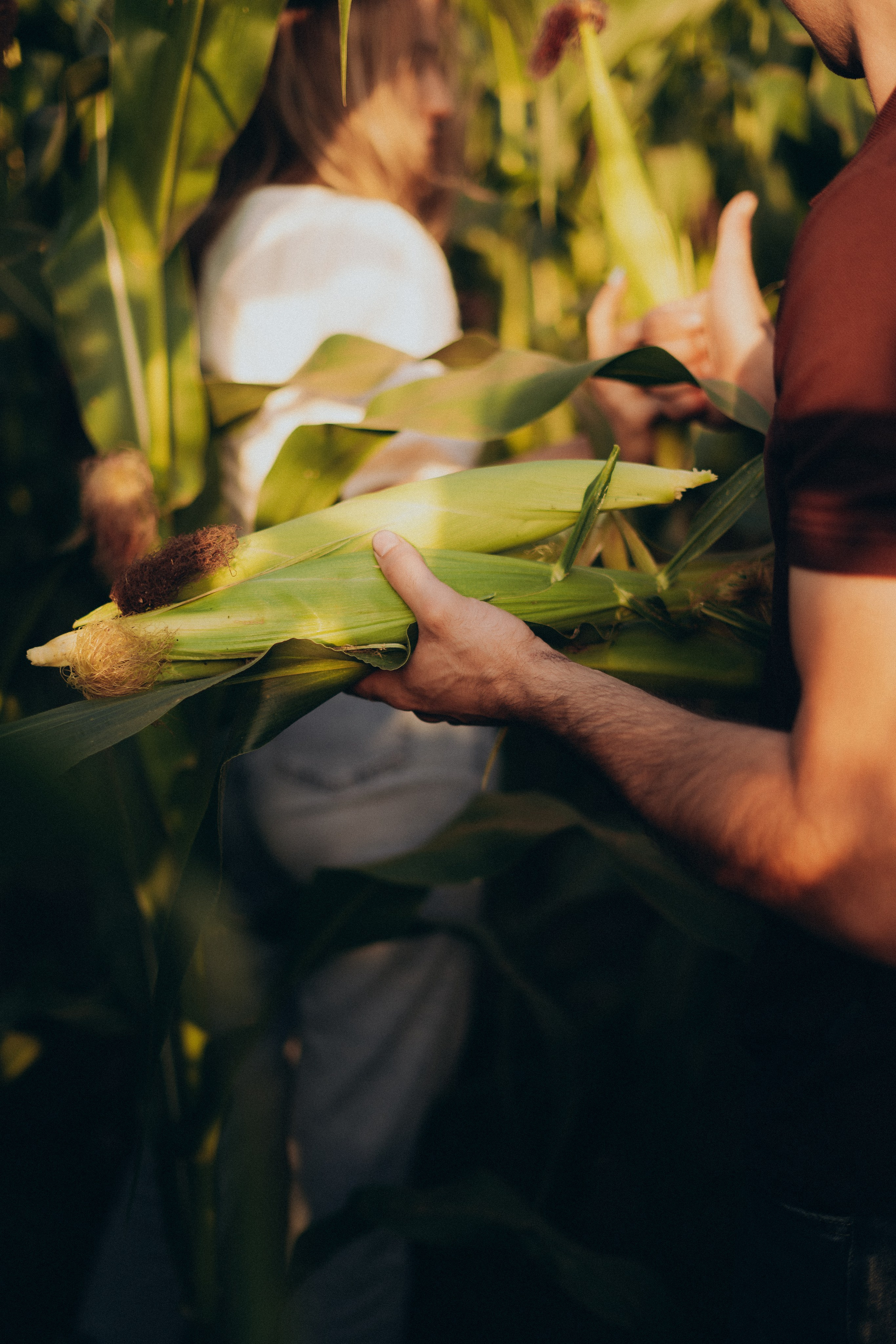 Карина и Михаил. Фотограф Торопец Кристина Абрамова Kanwellia photography