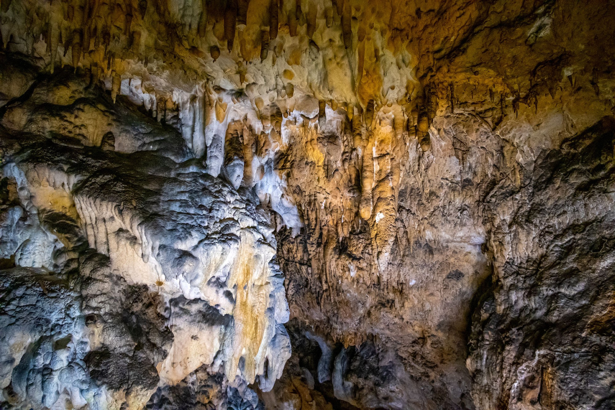 Свадебный фотограф в Геленджике