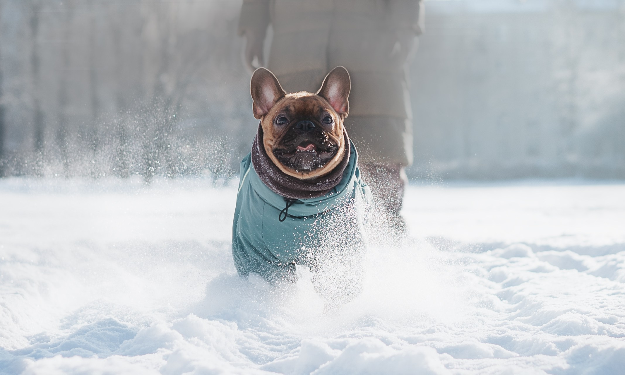 Дарья и Боня. Фотограф животных Евгения Верцинская