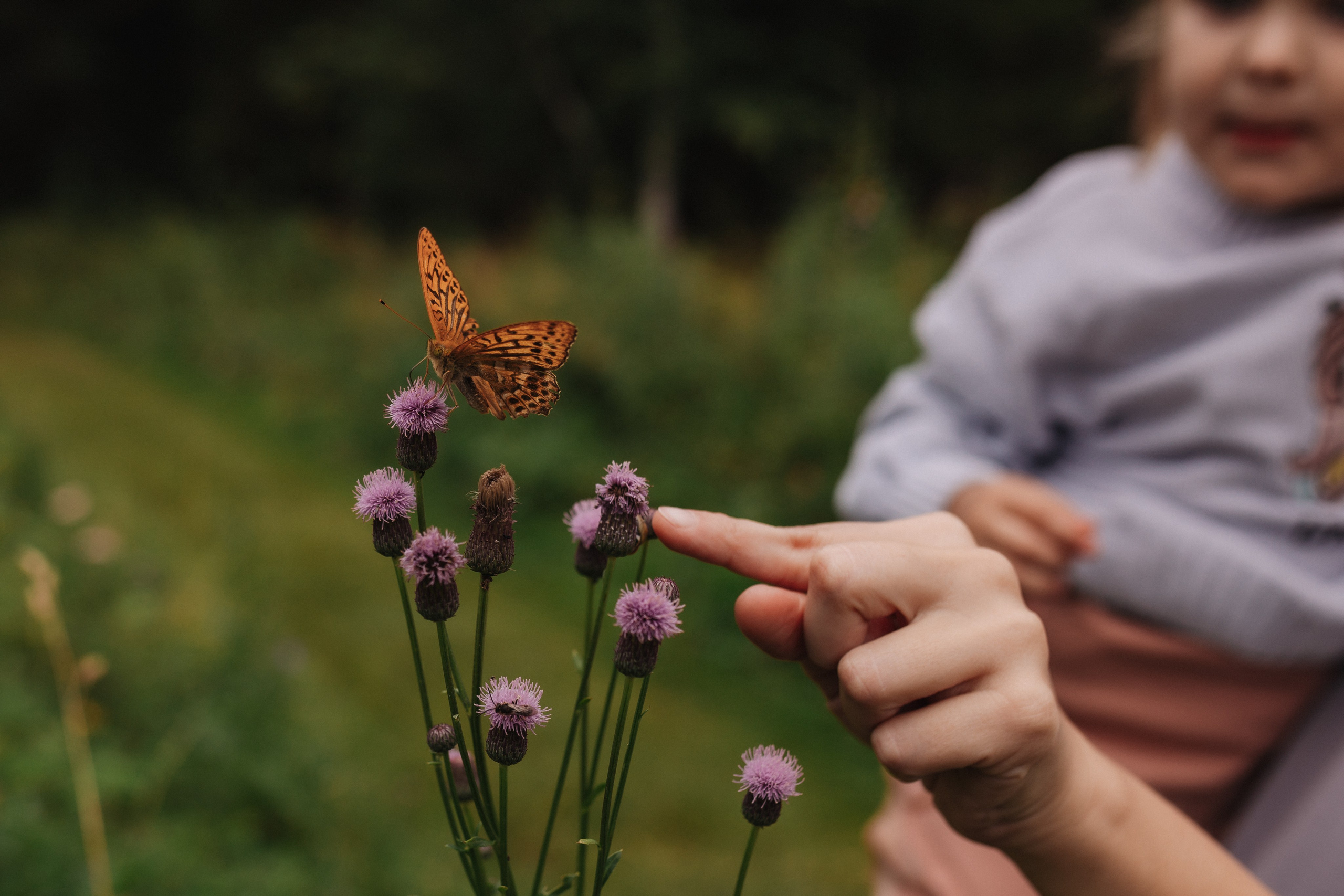 Лесная история. Семейный фотограф Альбина Крутелева, Екатеринбург, Ревда