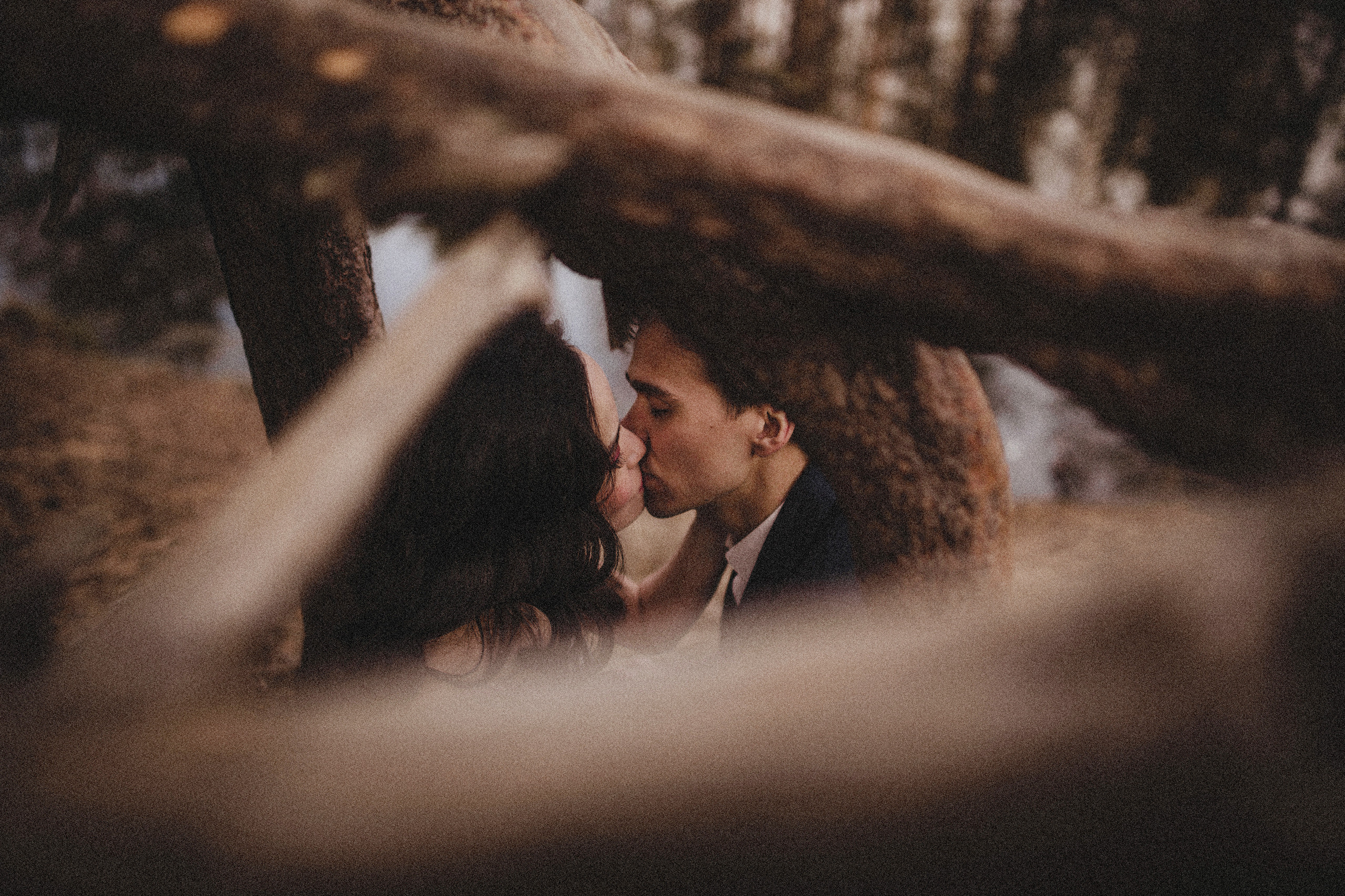 F o r e s t. Туры по России и миру