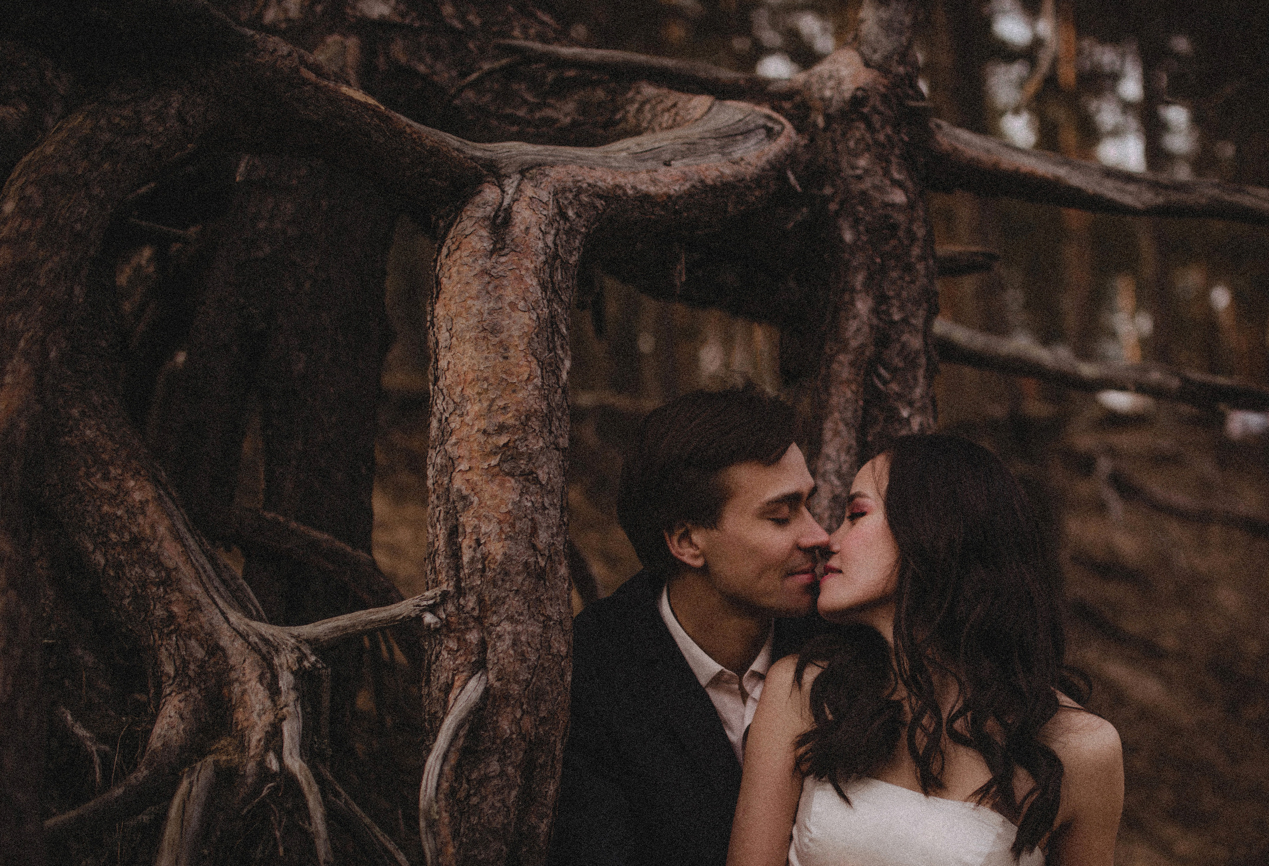 F o r e s t. Туры по России и миру