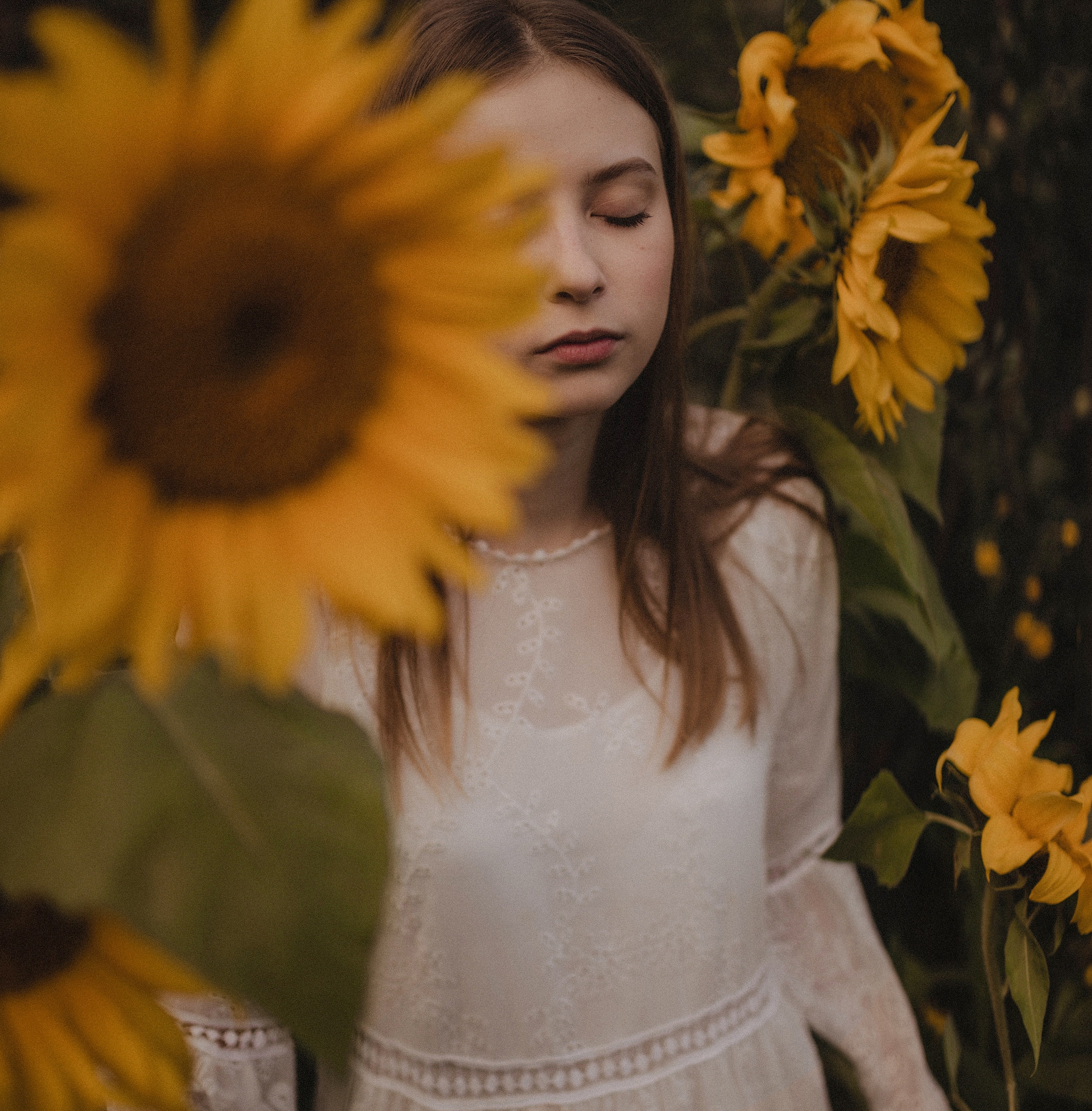 S u n f l o w e r i n S a i n t — P. Туры по России и миру