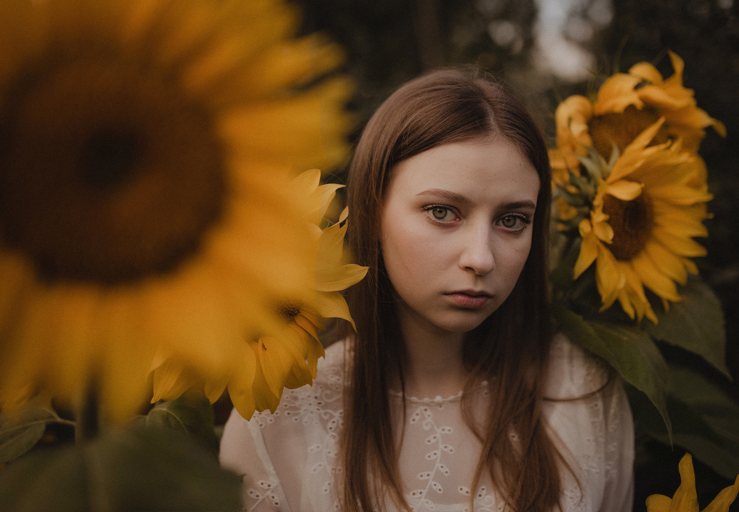 S u n f l o w e r i n S a i n t — P. Туры по России и миру