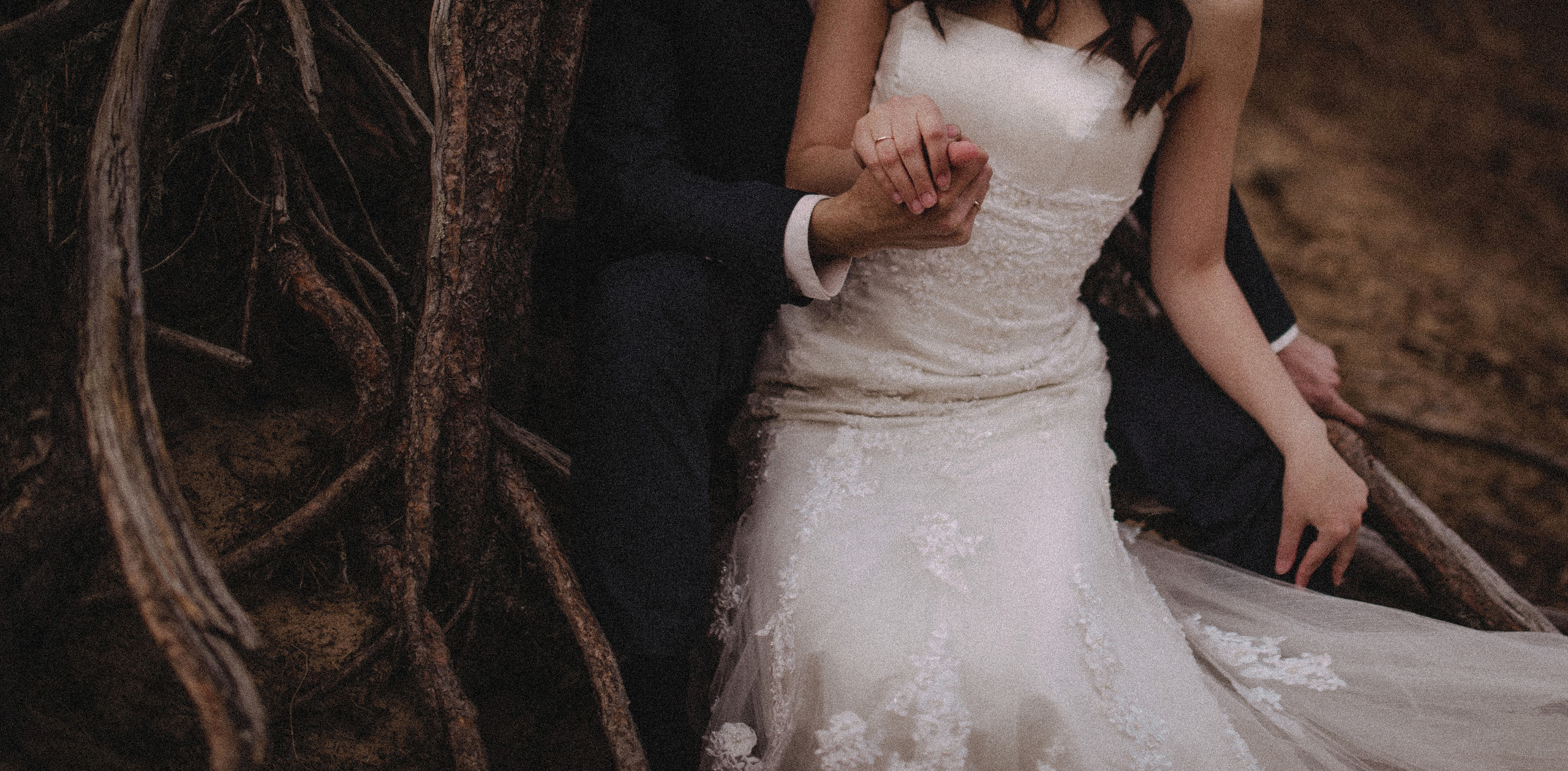 F o r e s t. Туры по России и миру