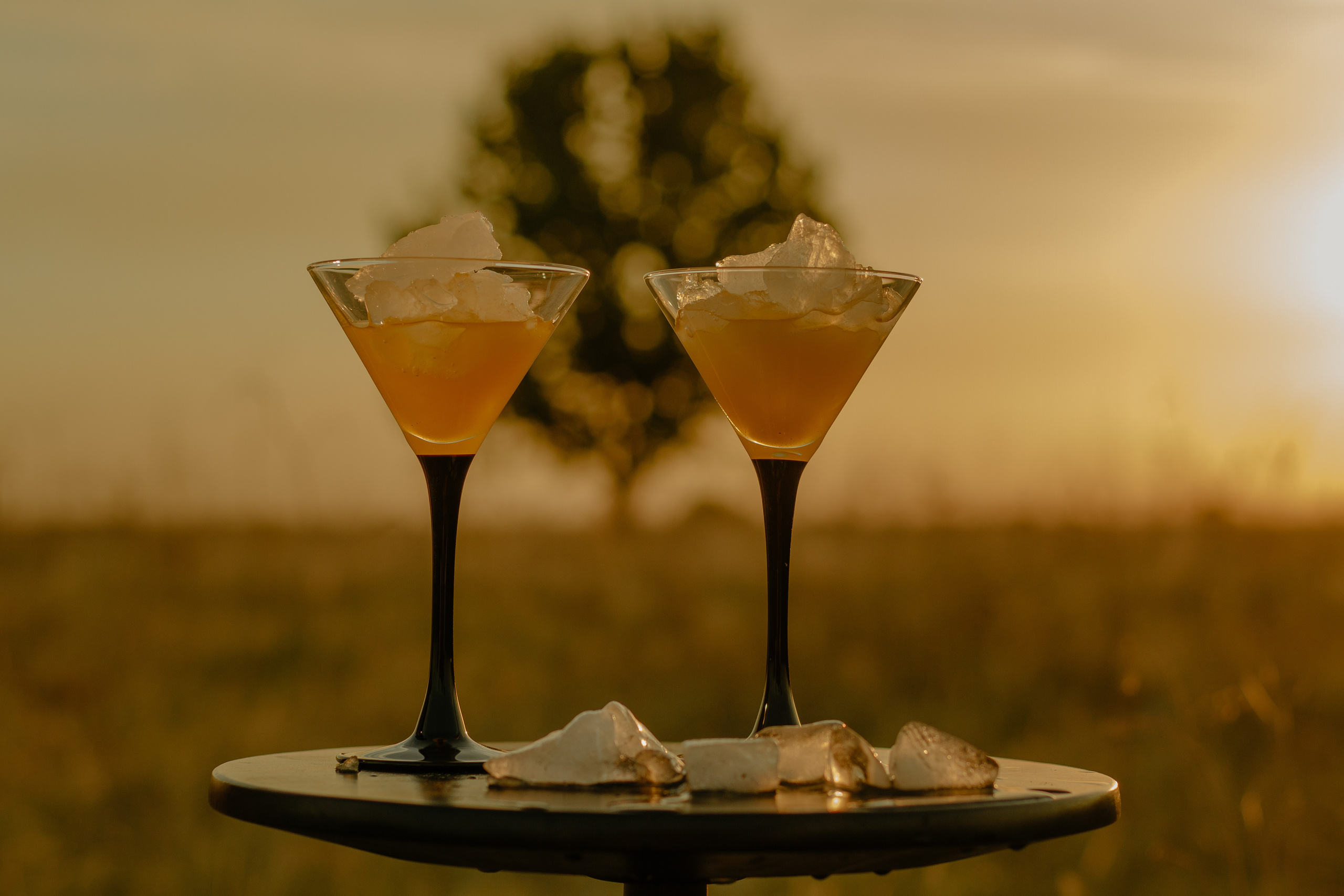 Рецепты на меду. Натуральный мед с семейной пасеки Honey World