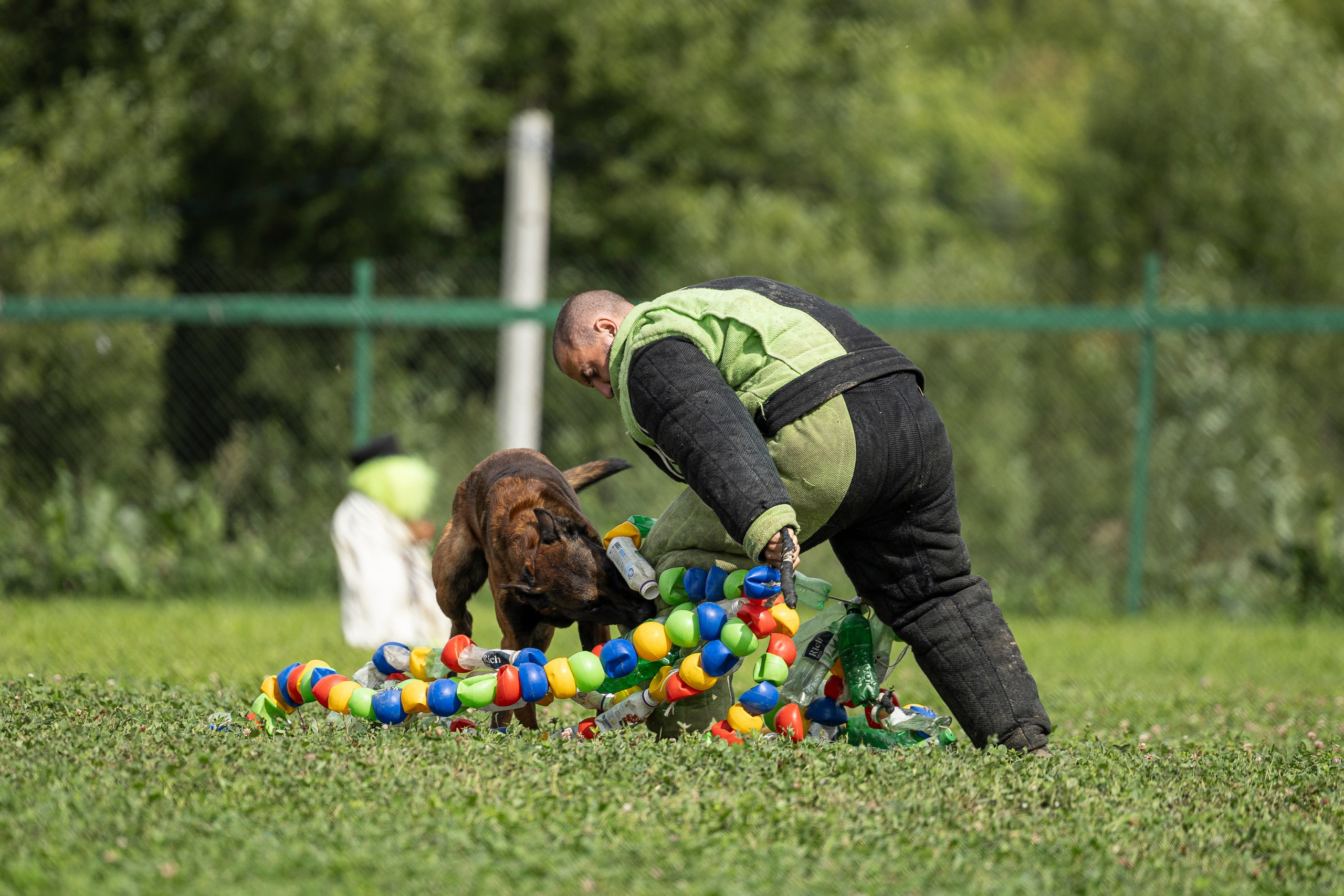 Соревнования по Мондьорингу г. Вологда 10-11.08.2024. Фотограф-анималист Анна Маринич