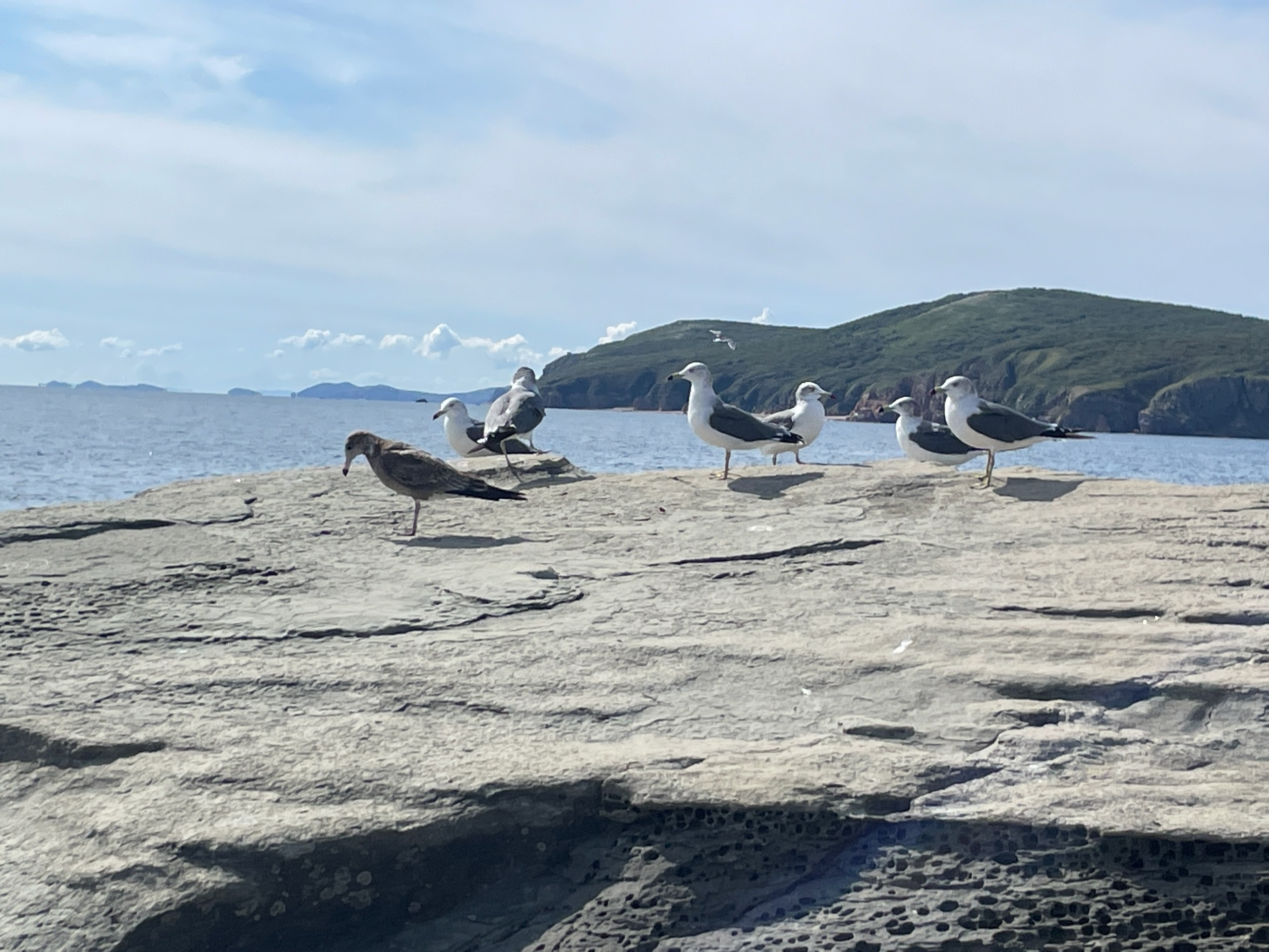 Владивосток 1 | 18-21.09.2025. Галерея Фантим