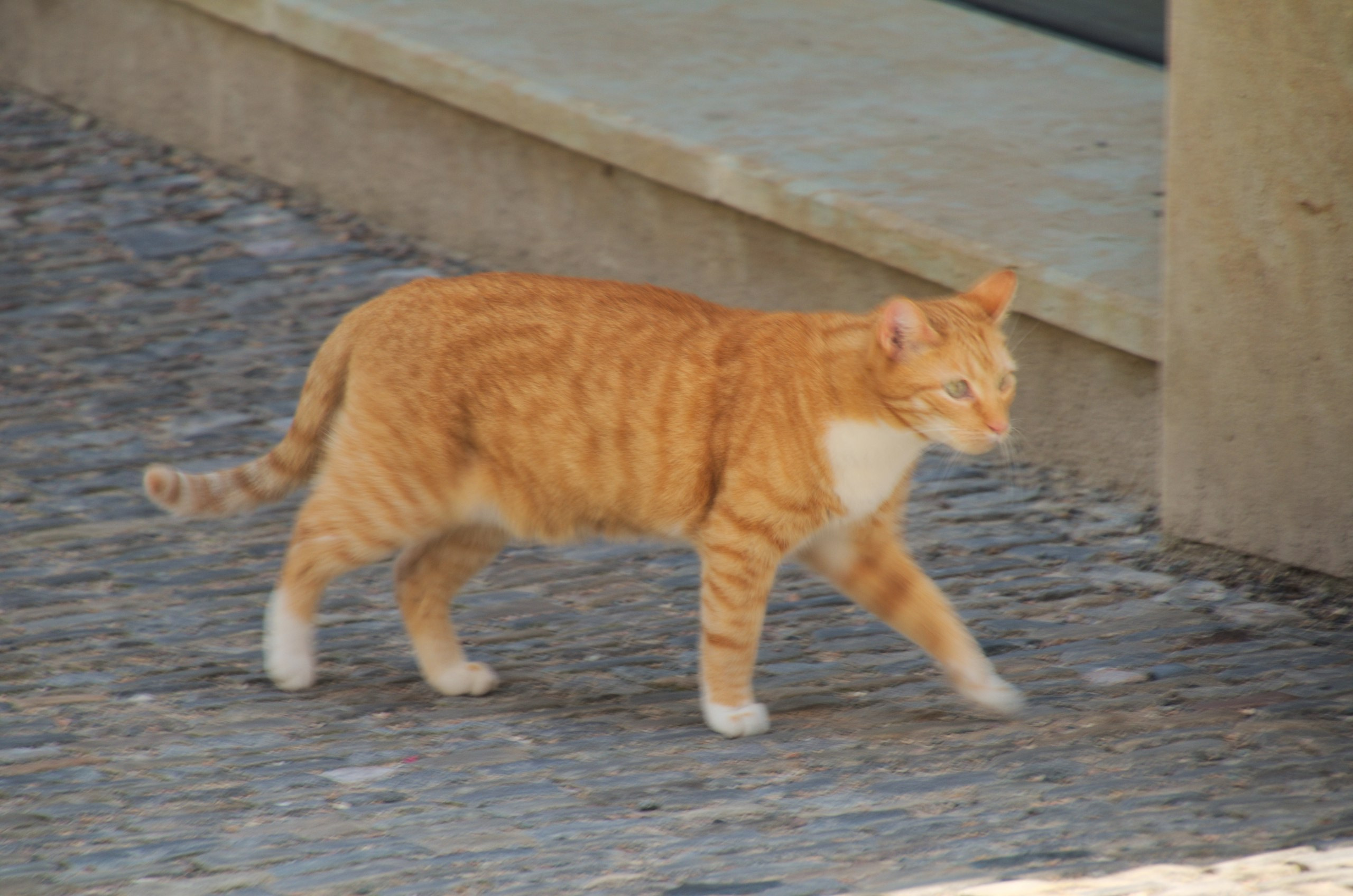 Чехия | 06-09.05.2017. Галерея Фантим