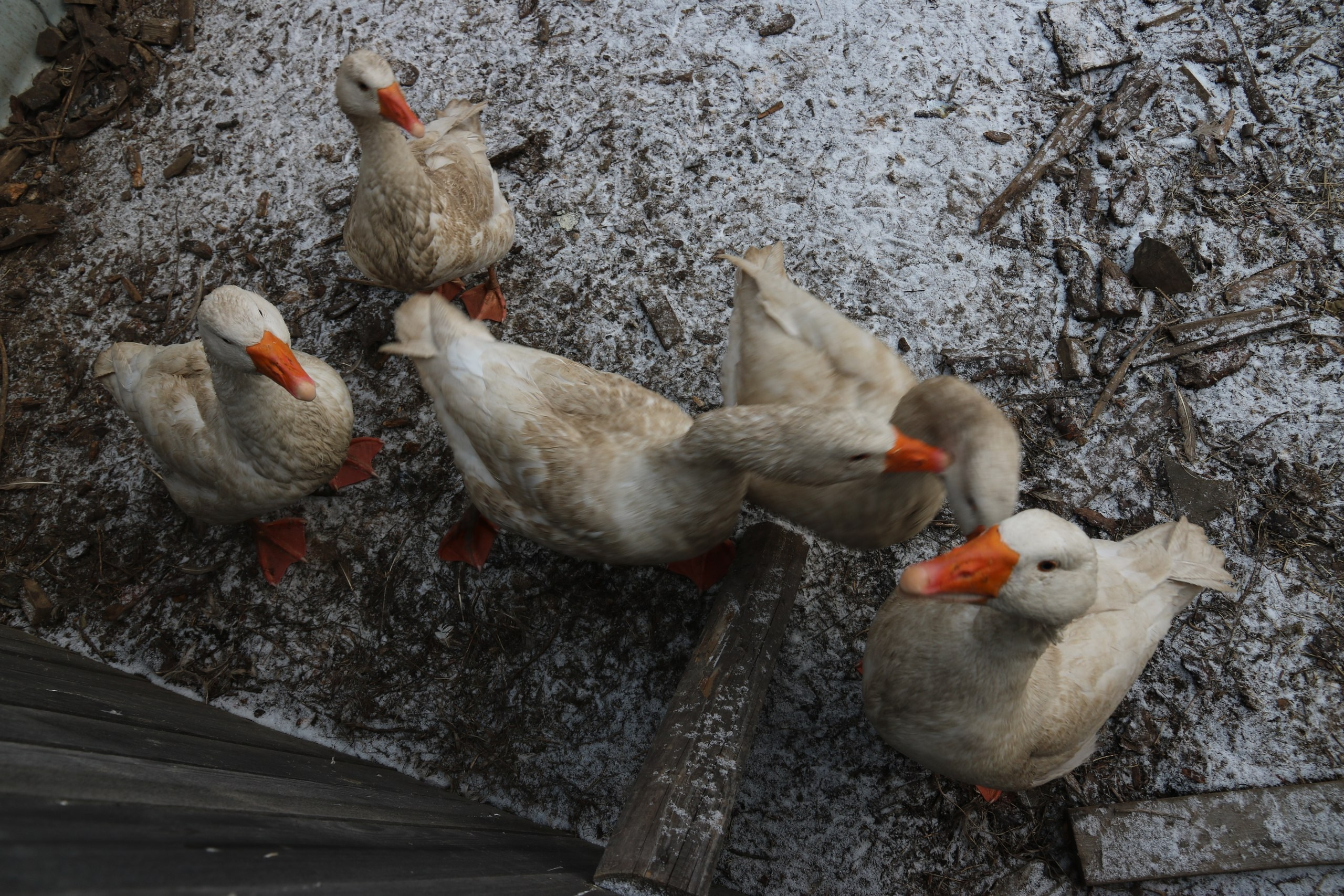 Екатеринбург | 21-23.10.2016. Галерея Фантим
