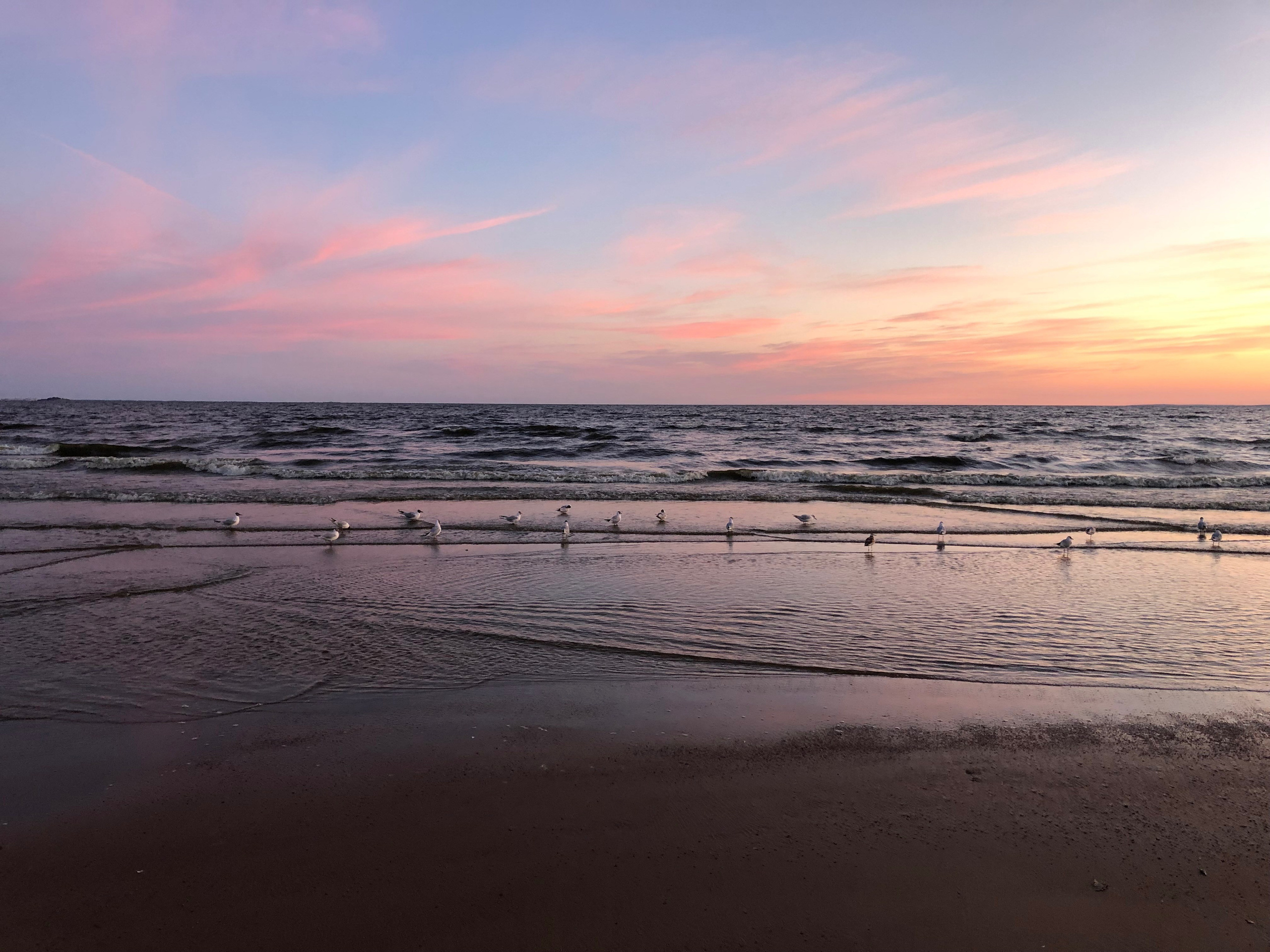 Очарование заката в пастельных тонах, Open Smartphone Photography, Людмила Шаройко, Москва, SPC HM