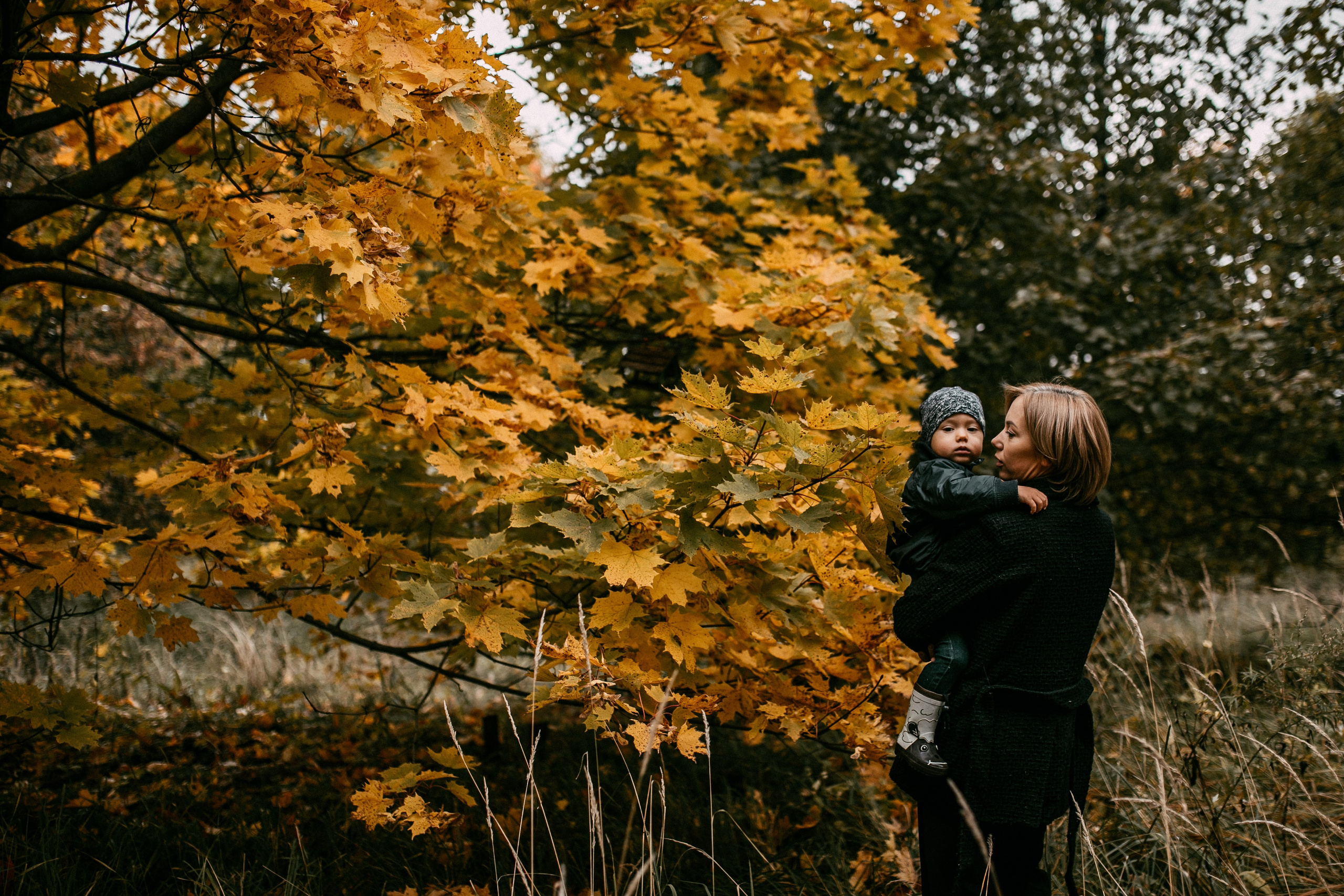 Осенняя семейная фотосъемка. Фотограф Лебедева Наталья