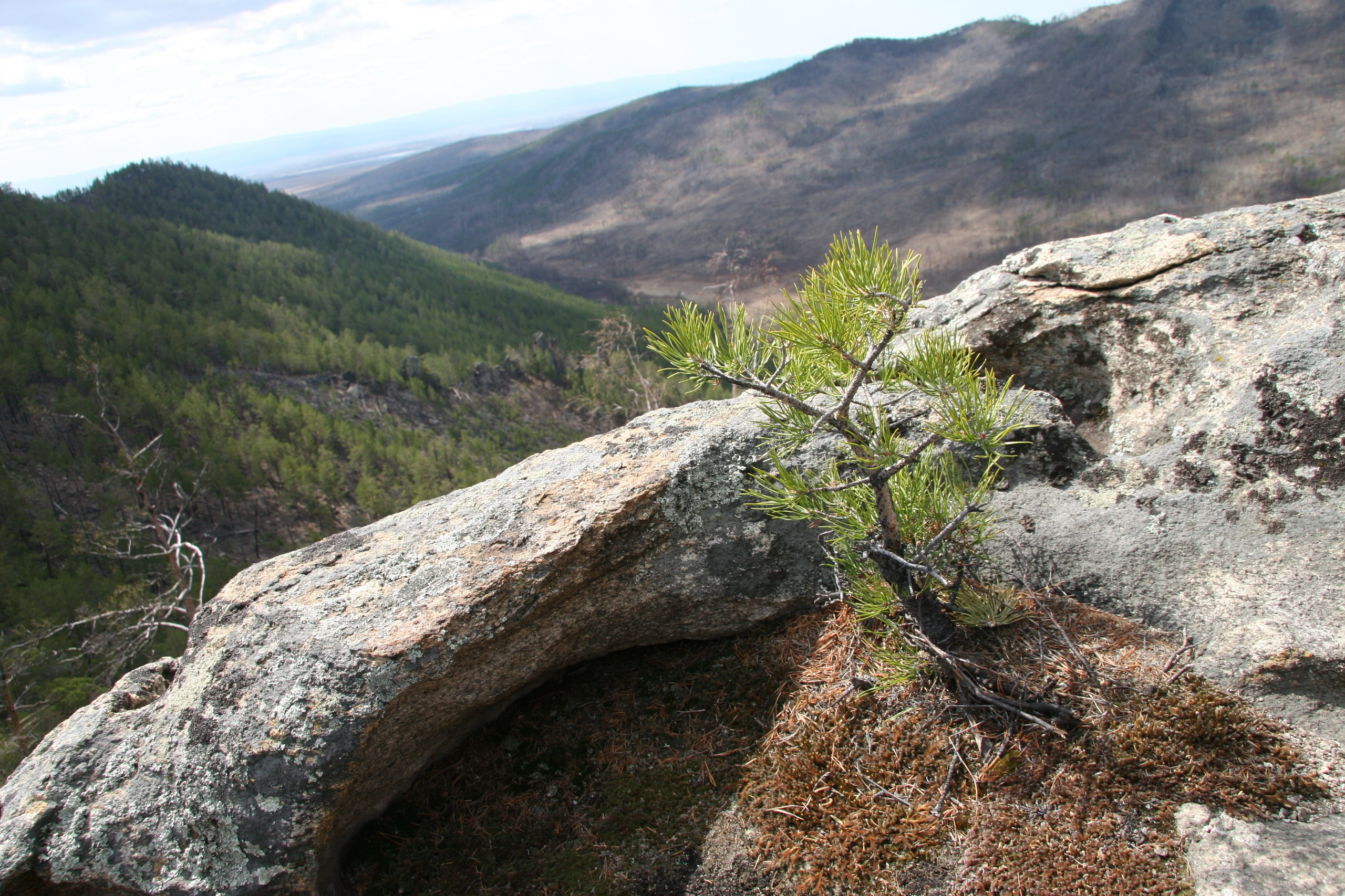 Фото Природы Забайкалья. Студия Максима Белослюдцева