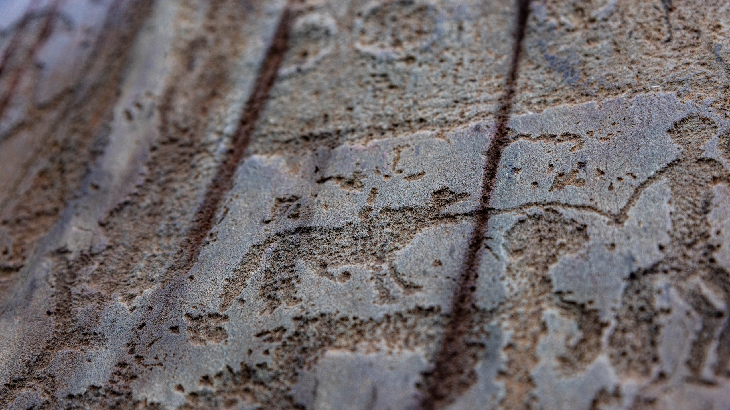 2025 09 Алтай. Чуйский тракт. Фотографии