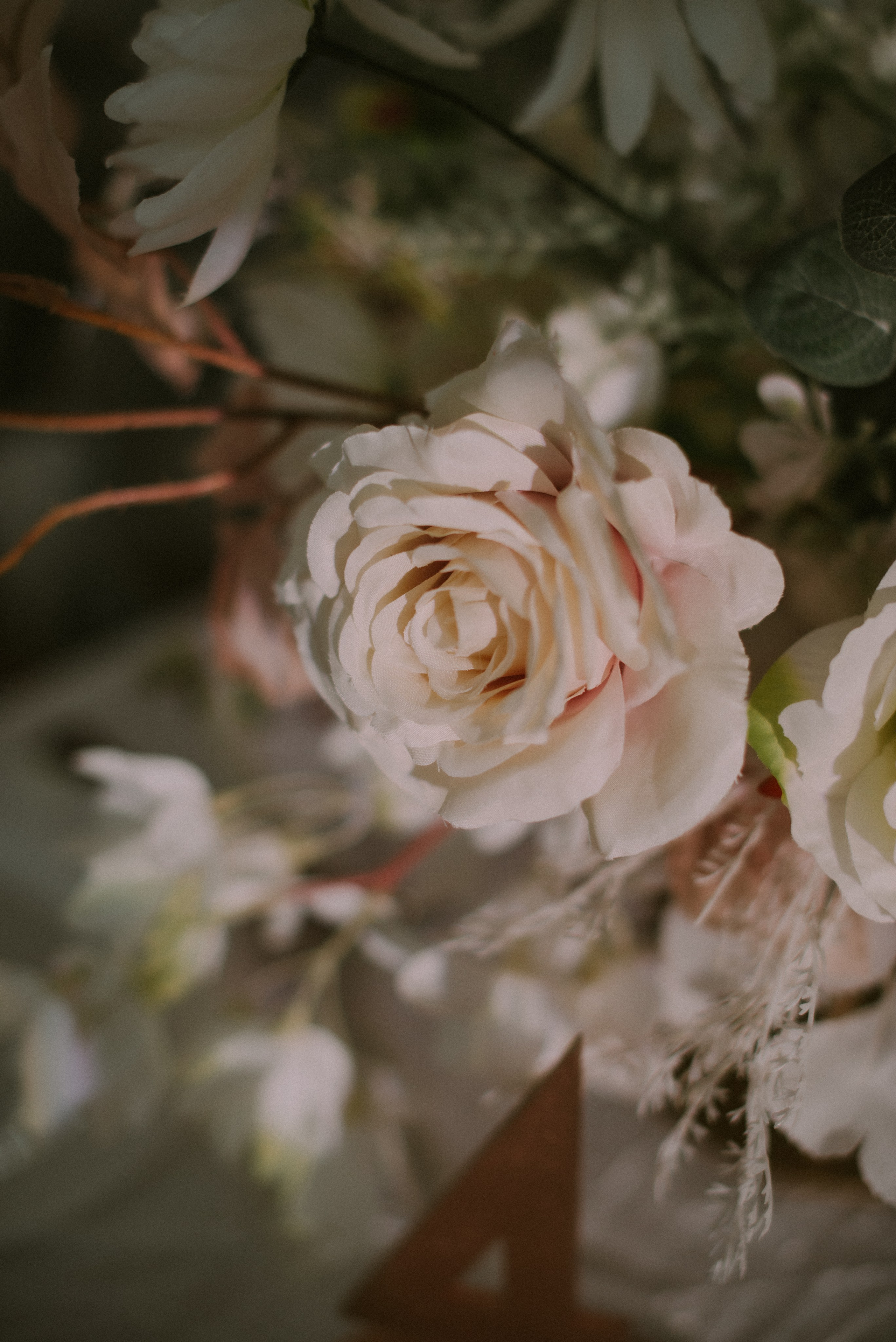 Севастополь 02|02|2024. Свадебный, женский, семейный фотограф в Севастополе Юлия Мошенко