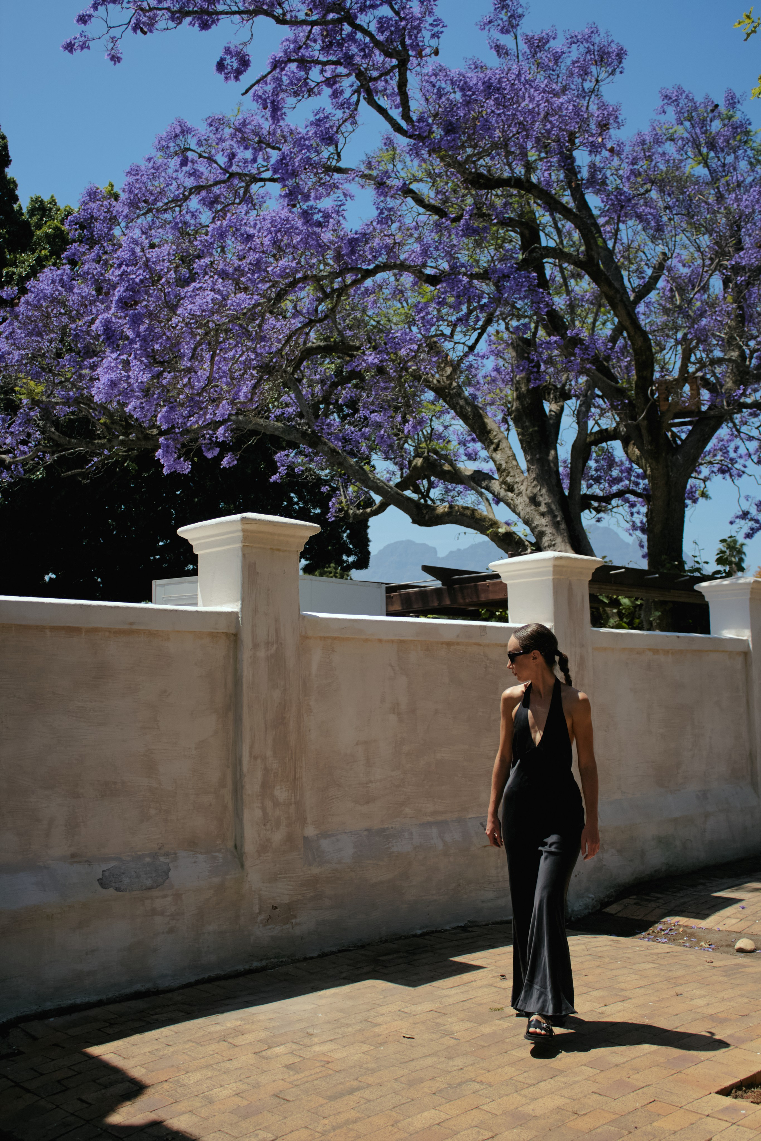 ЮАР. Профессиональный Фотограф во Владимире, в Москве и в Суздале — Полина Романычева