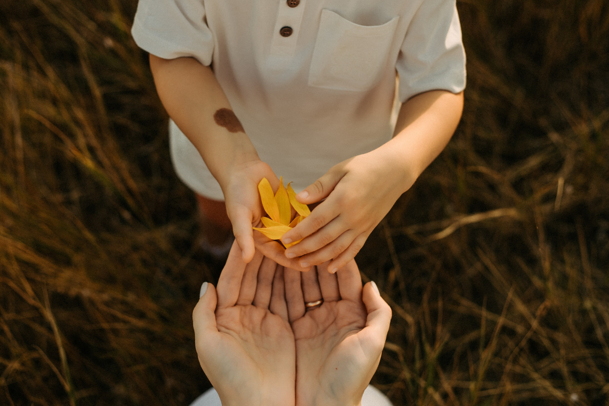 Семейный фотограф в Тихорецке. Свадебный и семейный фотограф в Краснодарском крае Мария Данилкина