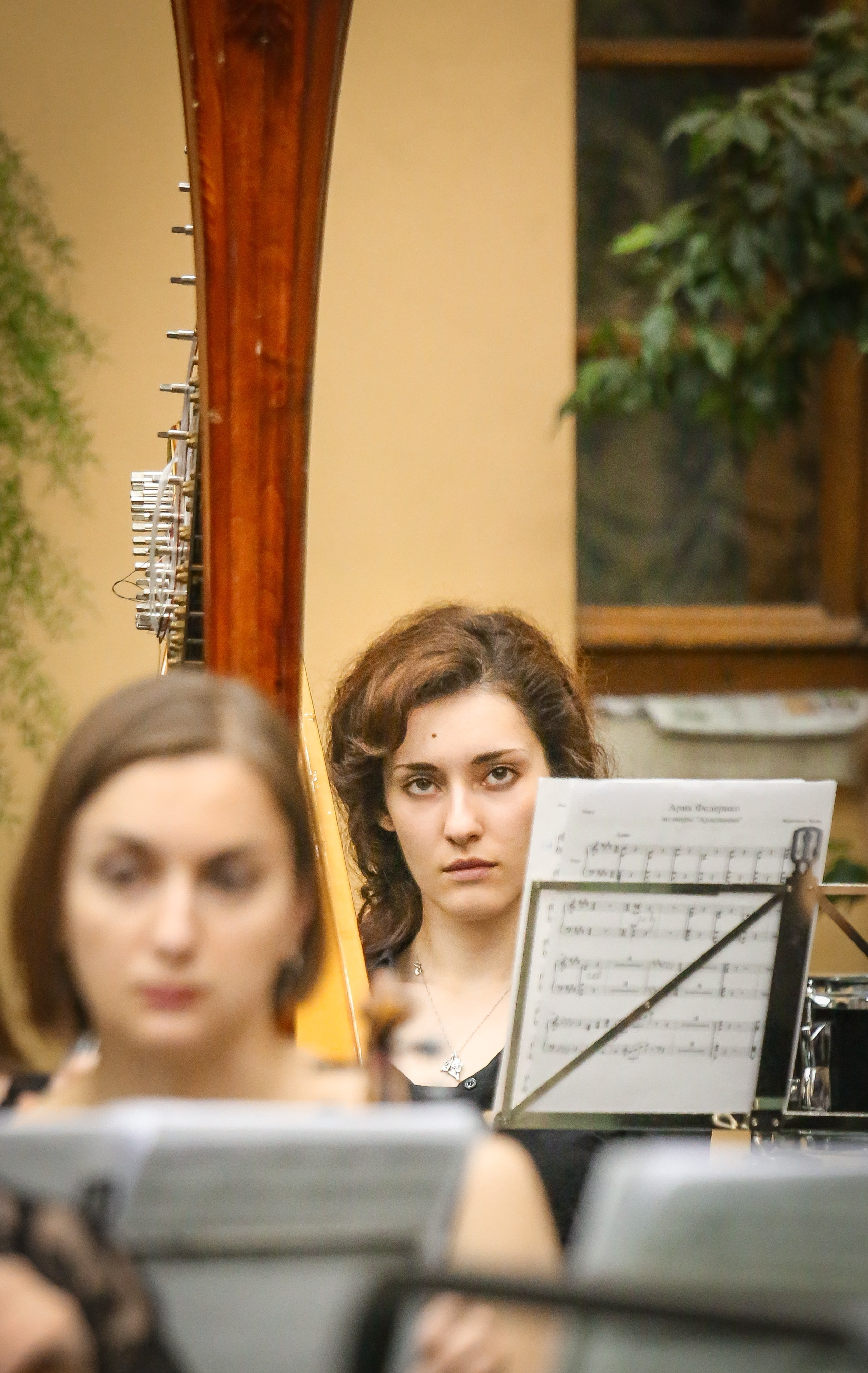 Четвертый фестиваль «Таланты Содружества». Дарья Письменюк / Darya Leitstern — фотограф, музыкант, журналист, путешественник