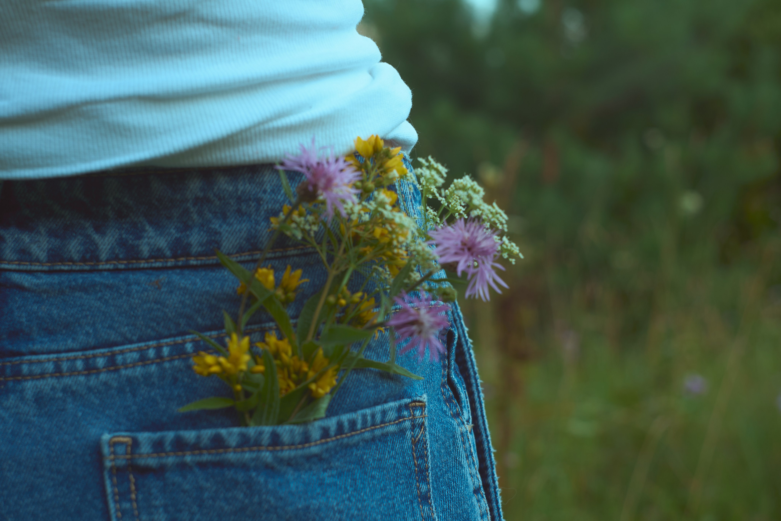 Summer field. Юля Ф