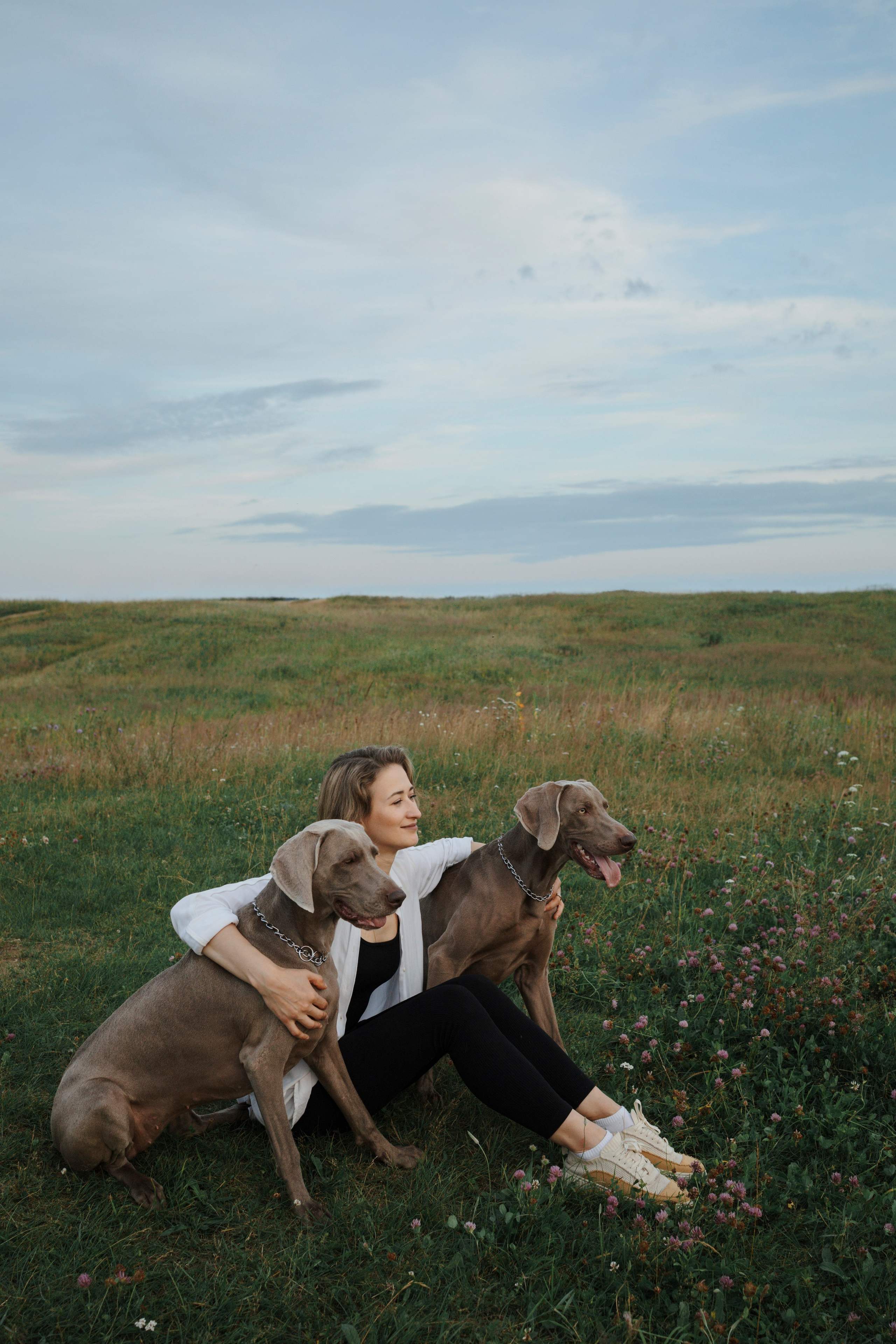 Маргарита и веймаранеры. Фотограф-анималист в Санкт-Петеребурге Титова Алиса