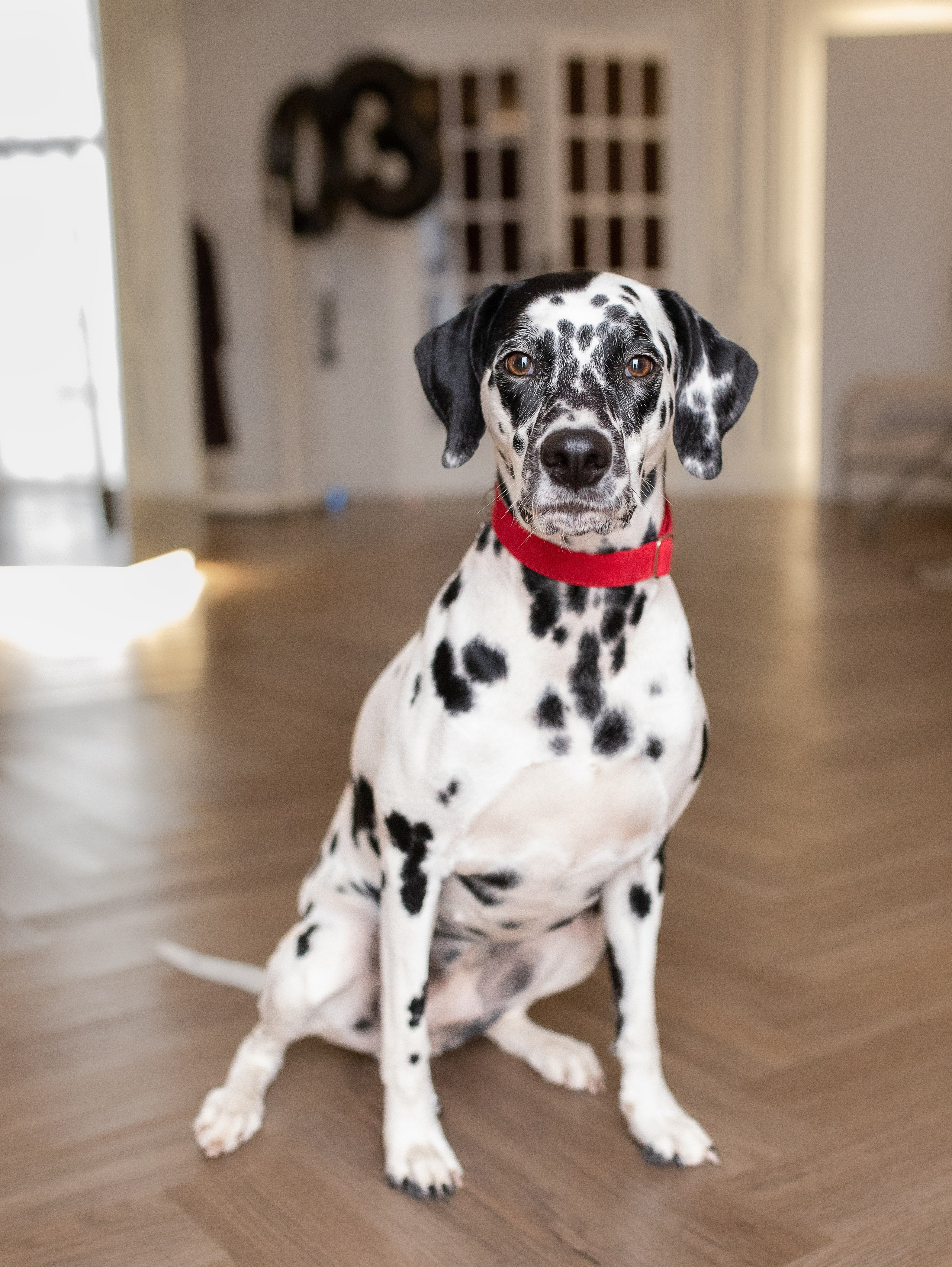 Ульяна. Семейный фотограф в Санкт-Петербурге Ирина Иванова