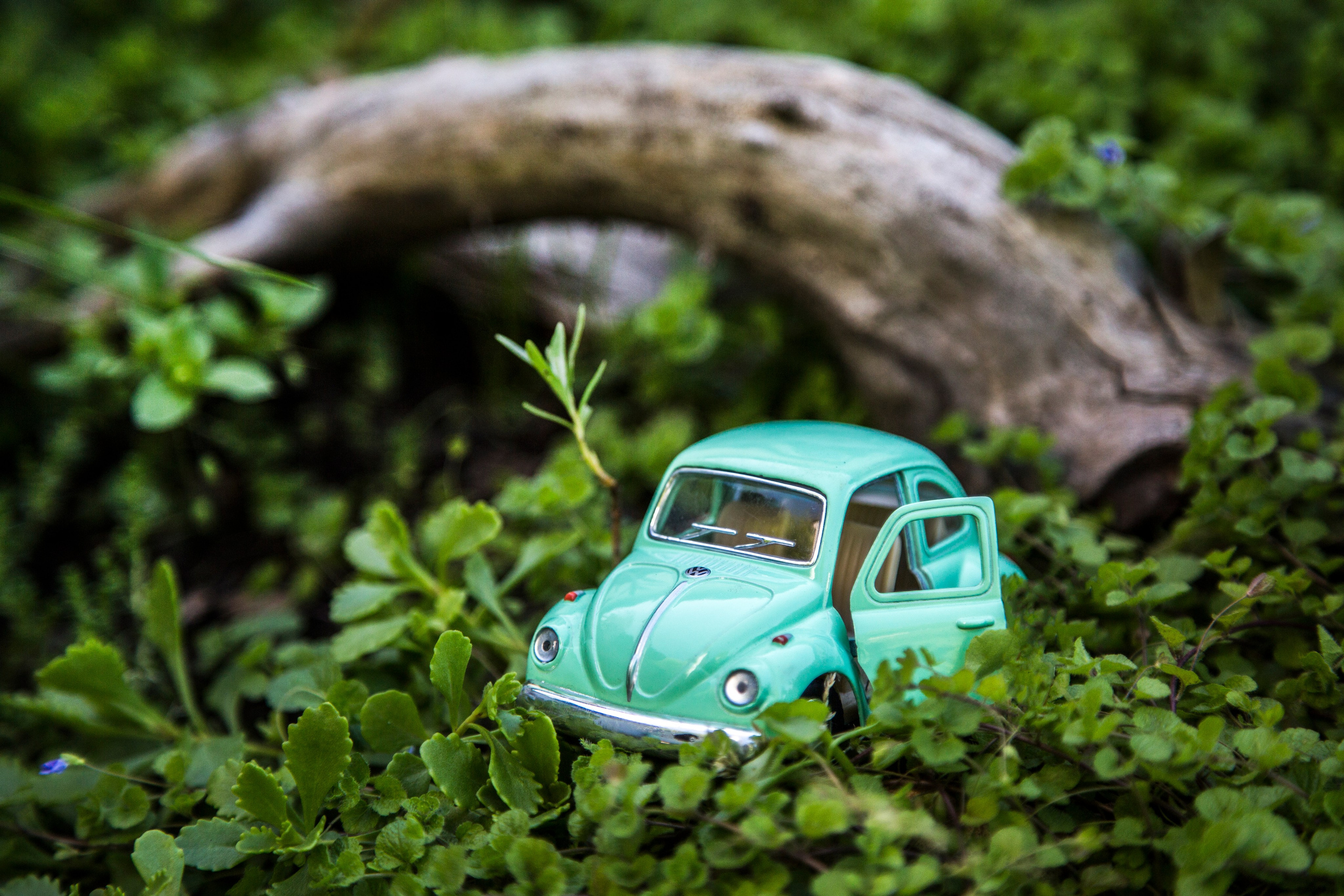 Машины. Фотограф Олеся Кавлакан