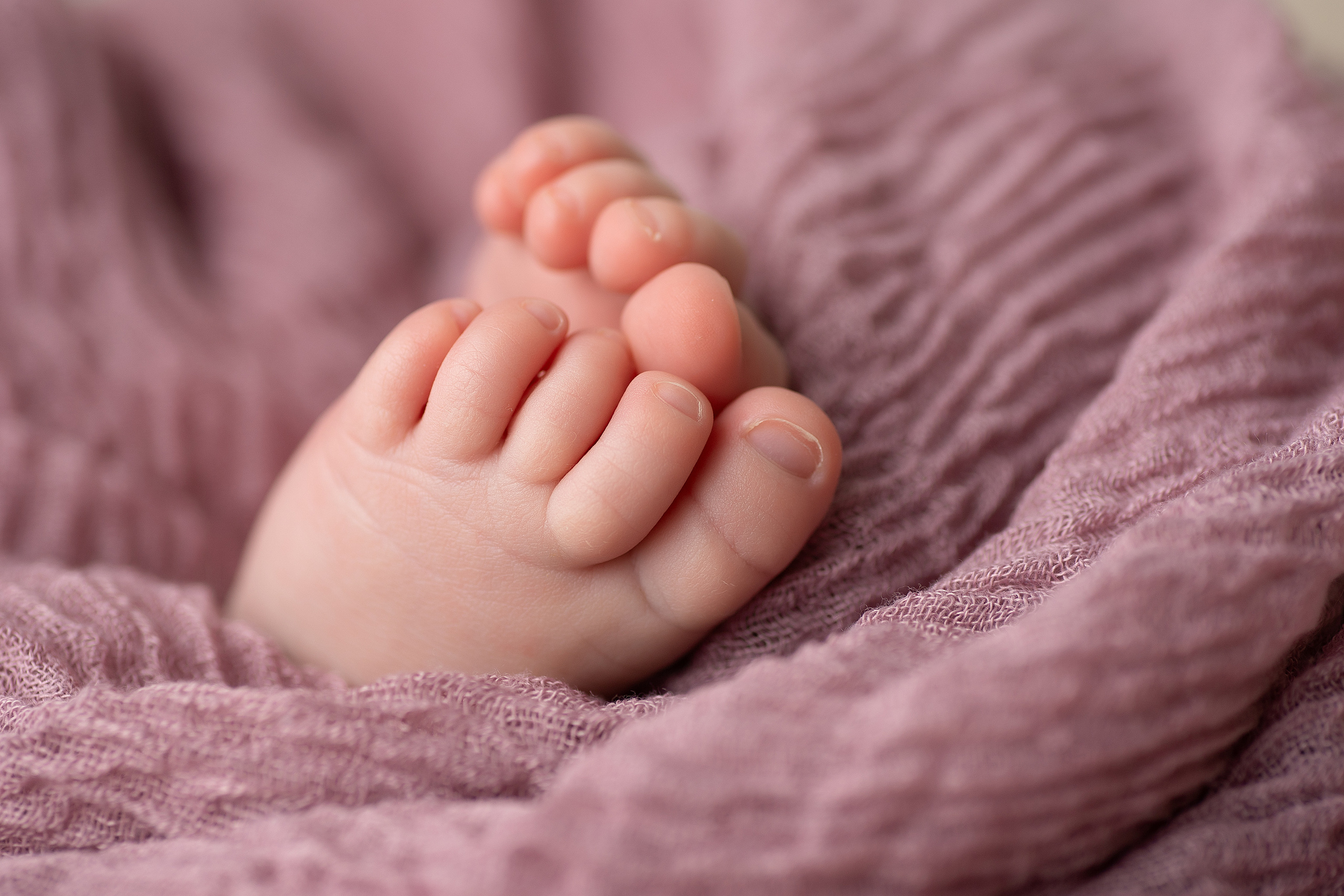 Новорожденные. Фотограф в Новосибирске