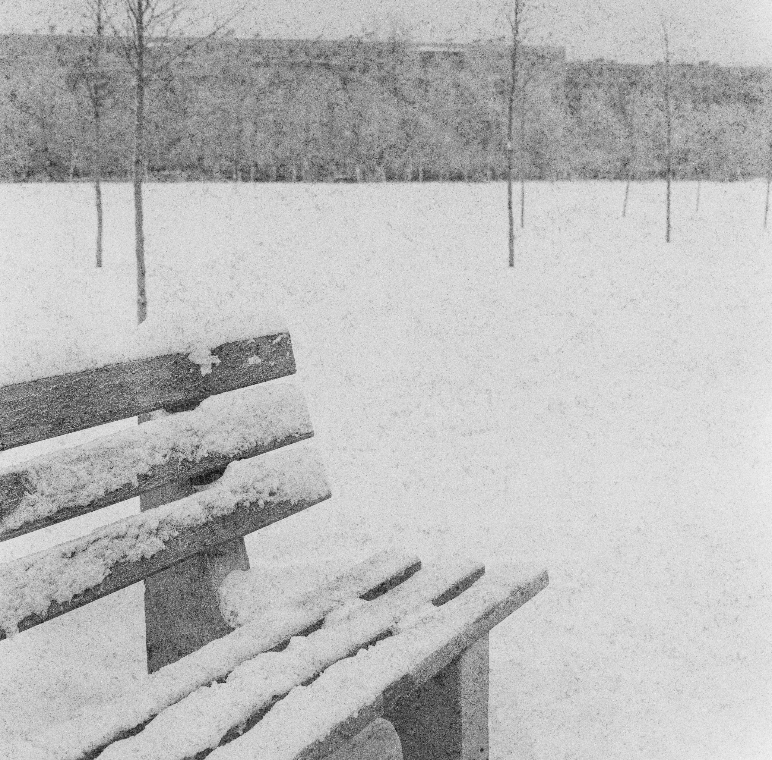 Плёнка 35/120мм. Katya Medvedeva