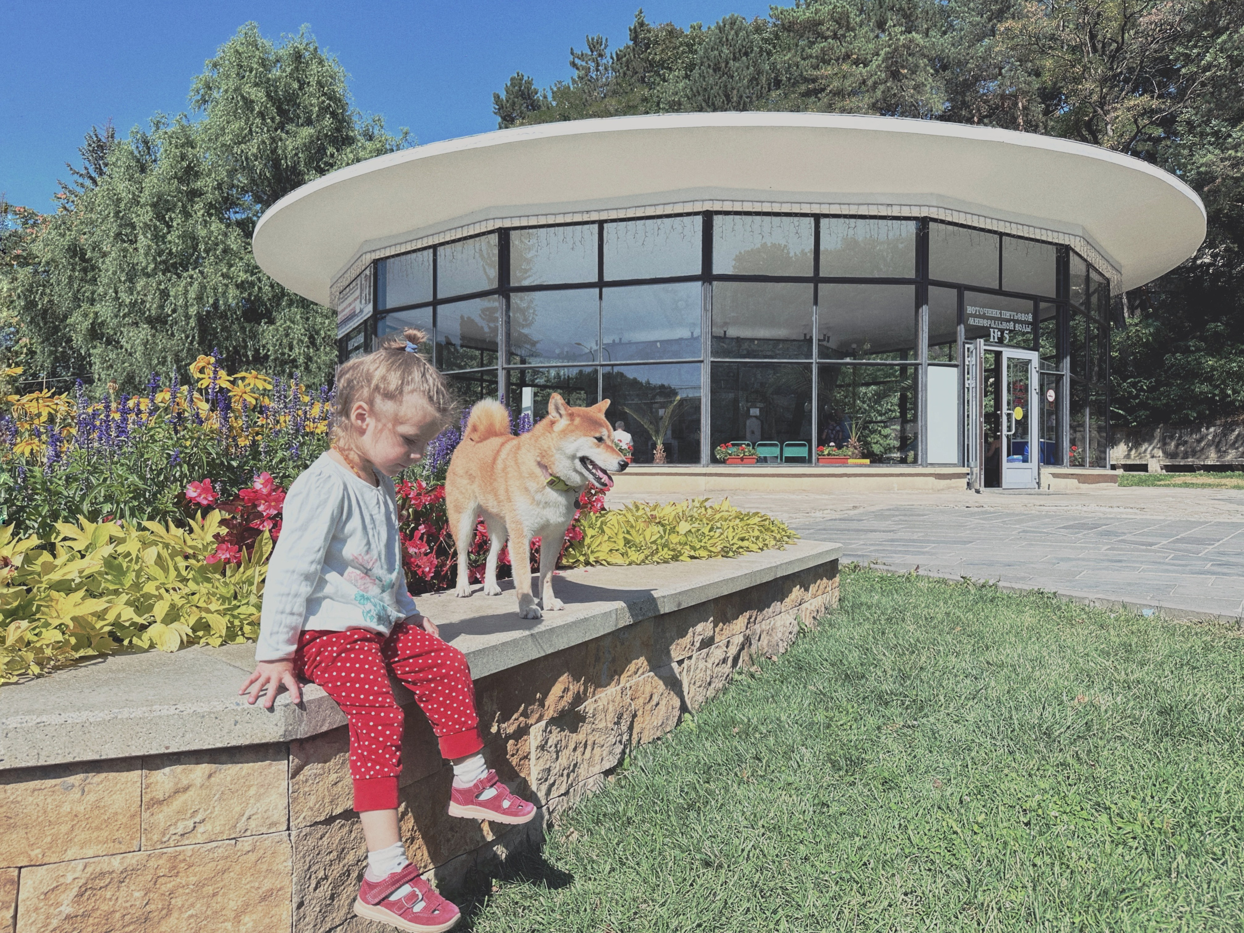 Дети. Смотри, красота!