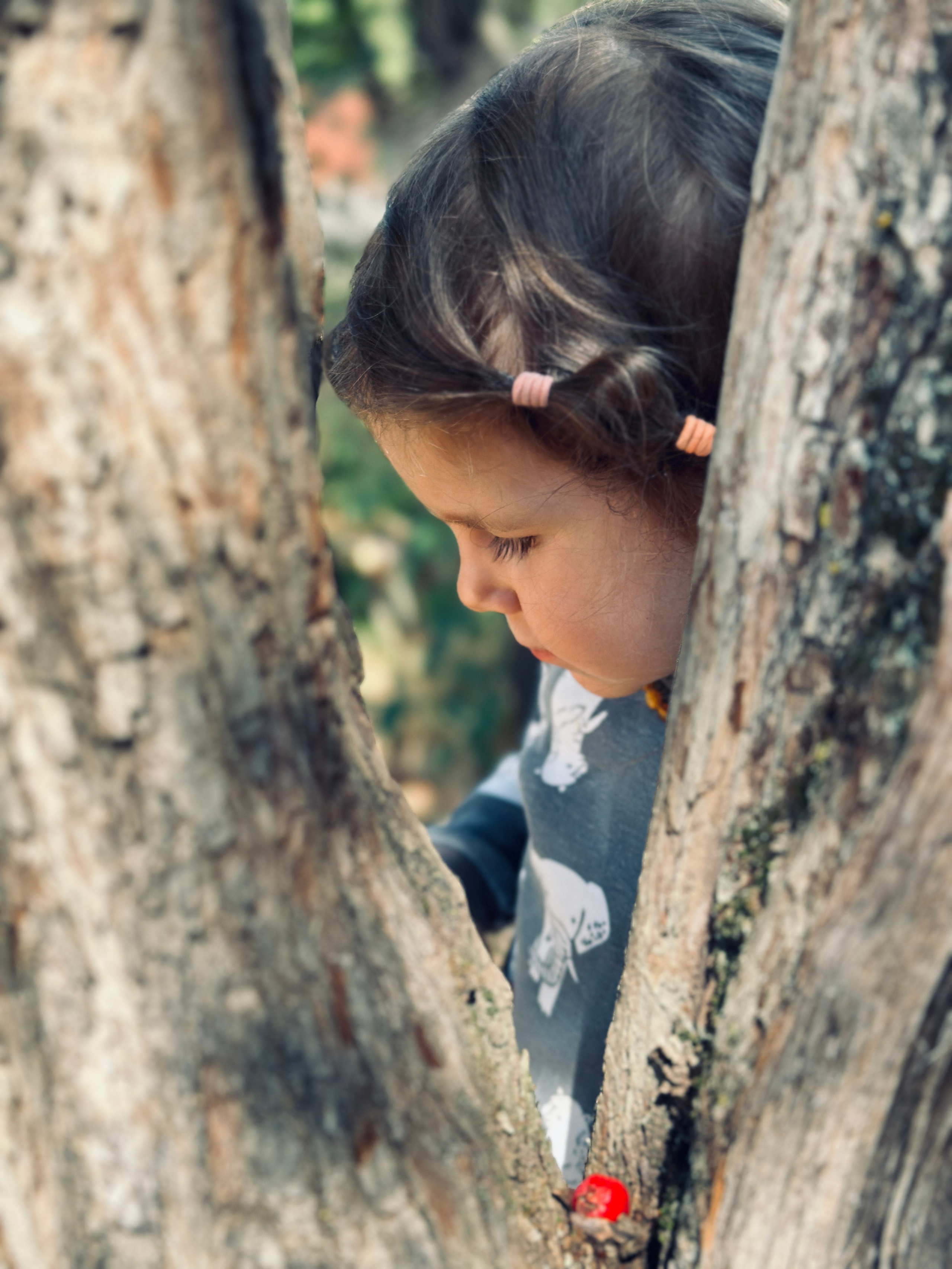 Дети. Смотри, красота!