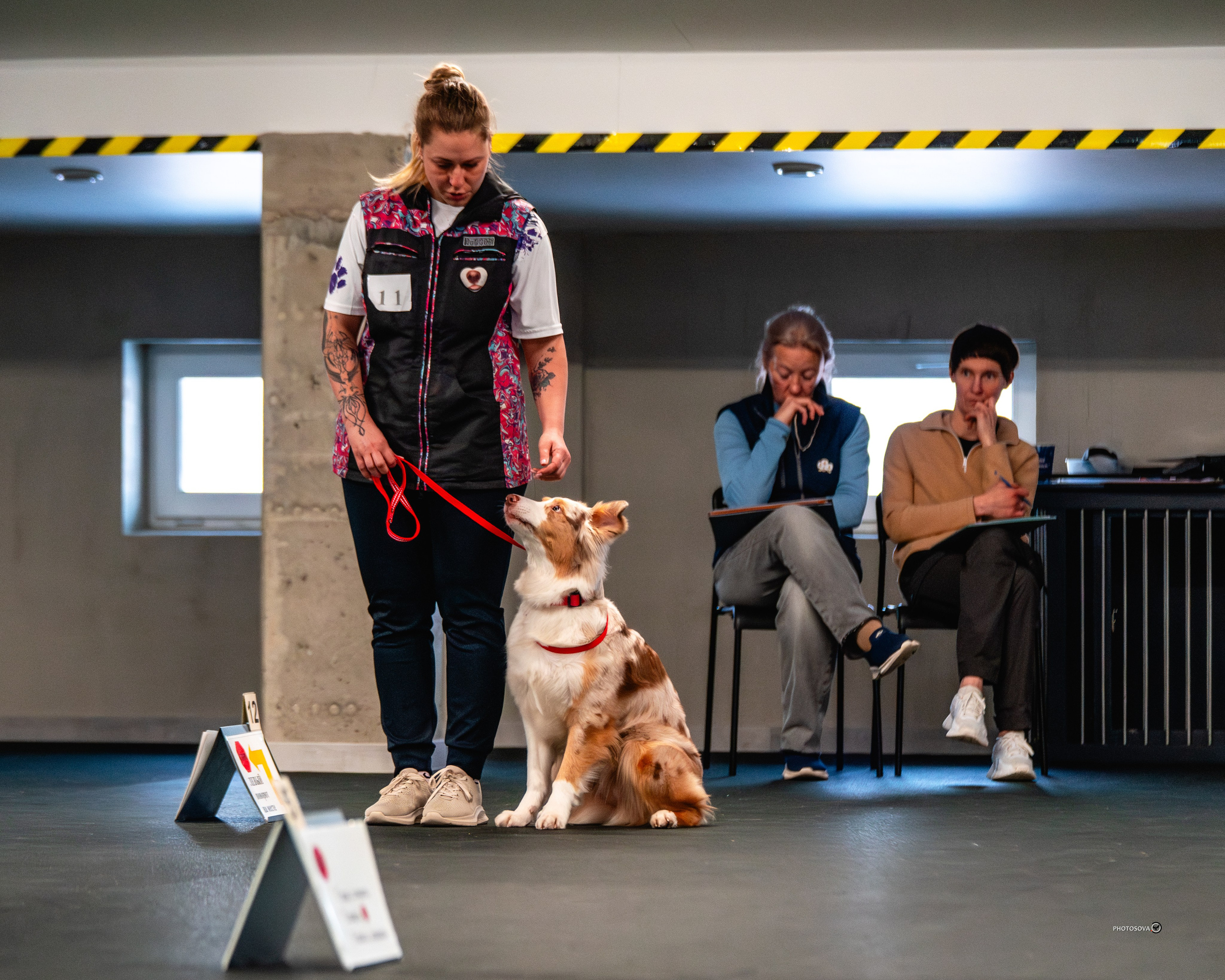 ТЫ И Я (соревнования по ралли-обидиенс). Фотограф-анималист, семейный фотограф в Москве и Подмосковье. Фотосъёмка кинологических дисциплин