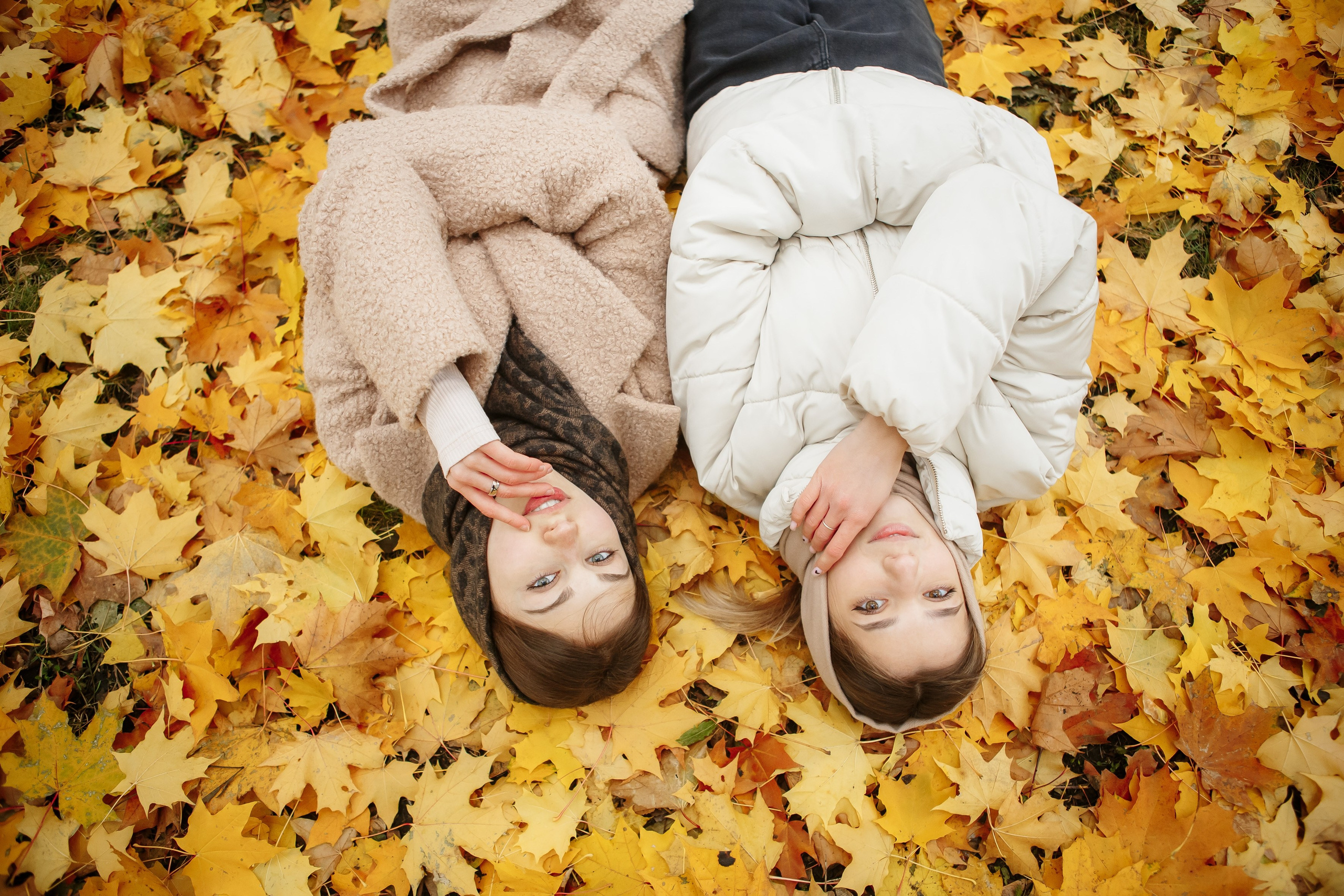 Осень Гимназия 12 11 В 2023 г. Свадебный и портретный Фотограф в Липецке Дмитрий Котюков