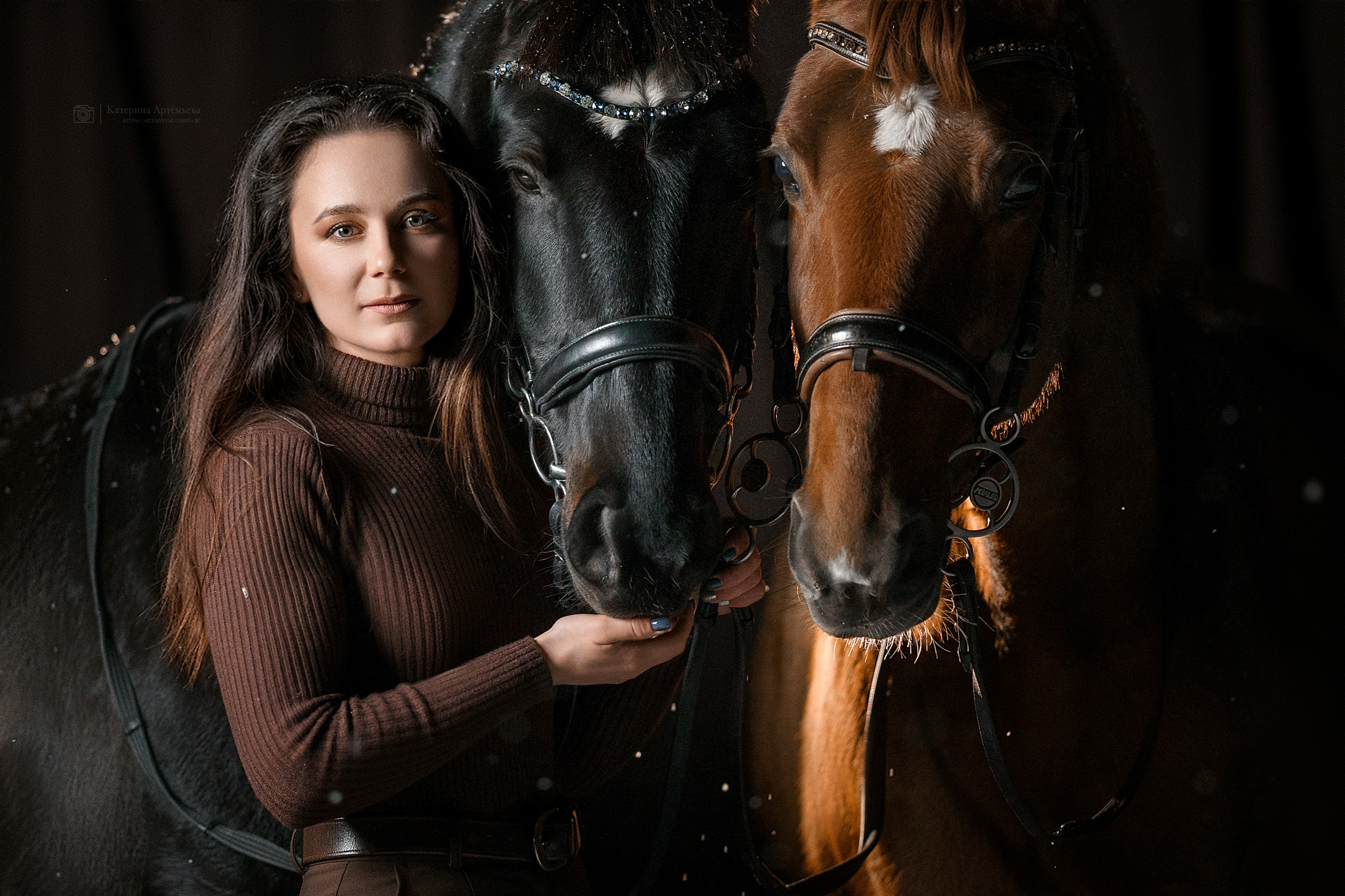 Фотосессии с лошадьми. Фотограф Артемьева Катерина|фотосессии с лошадьми