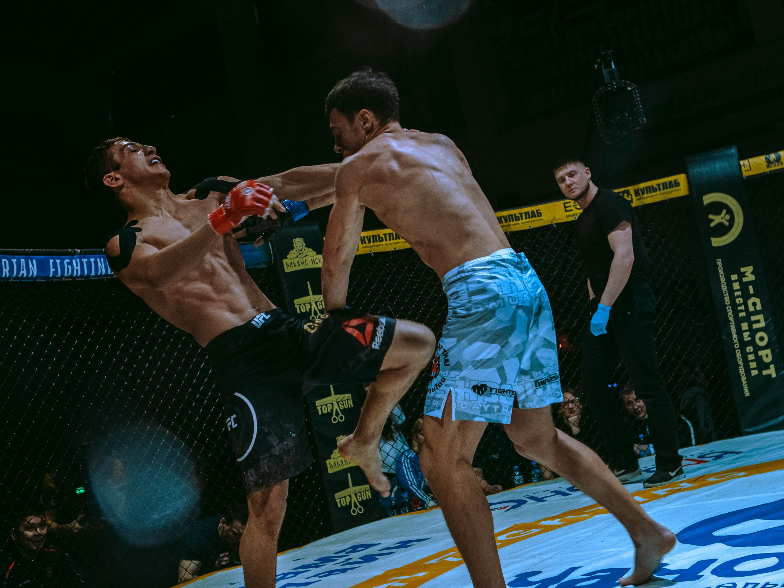 SFL 17 | Siberian Fighting League. Портретный фотограф в Москве Дарья Цезария