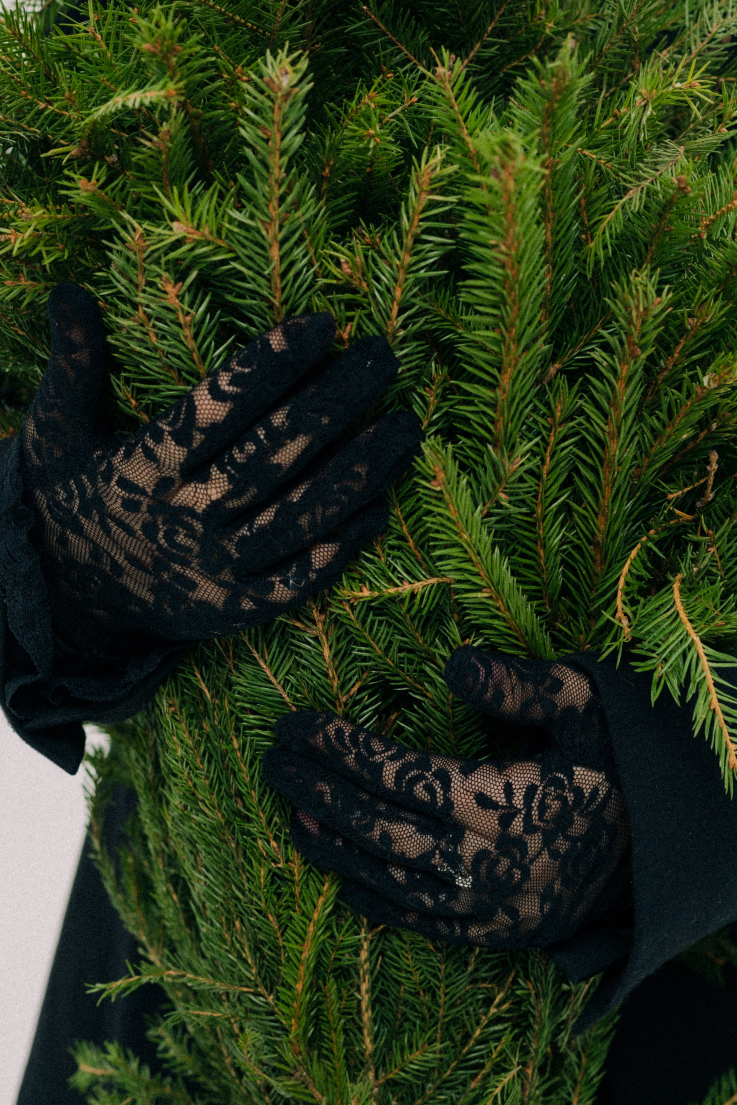 Юлия К. Репортажный фотограф в городе Ростов-на-Дону Даниил Молодовский