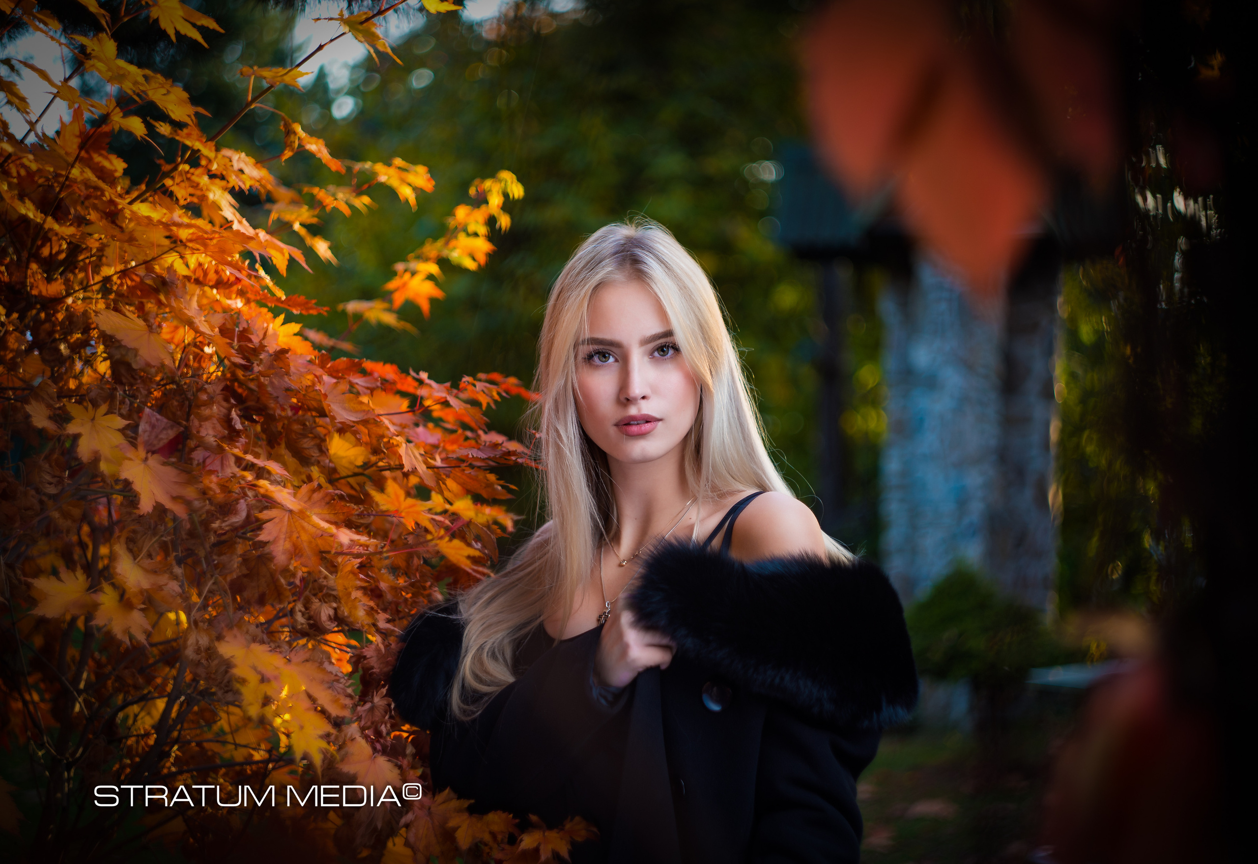 Headshots. Stratum Media — Фото-Видео Съемки