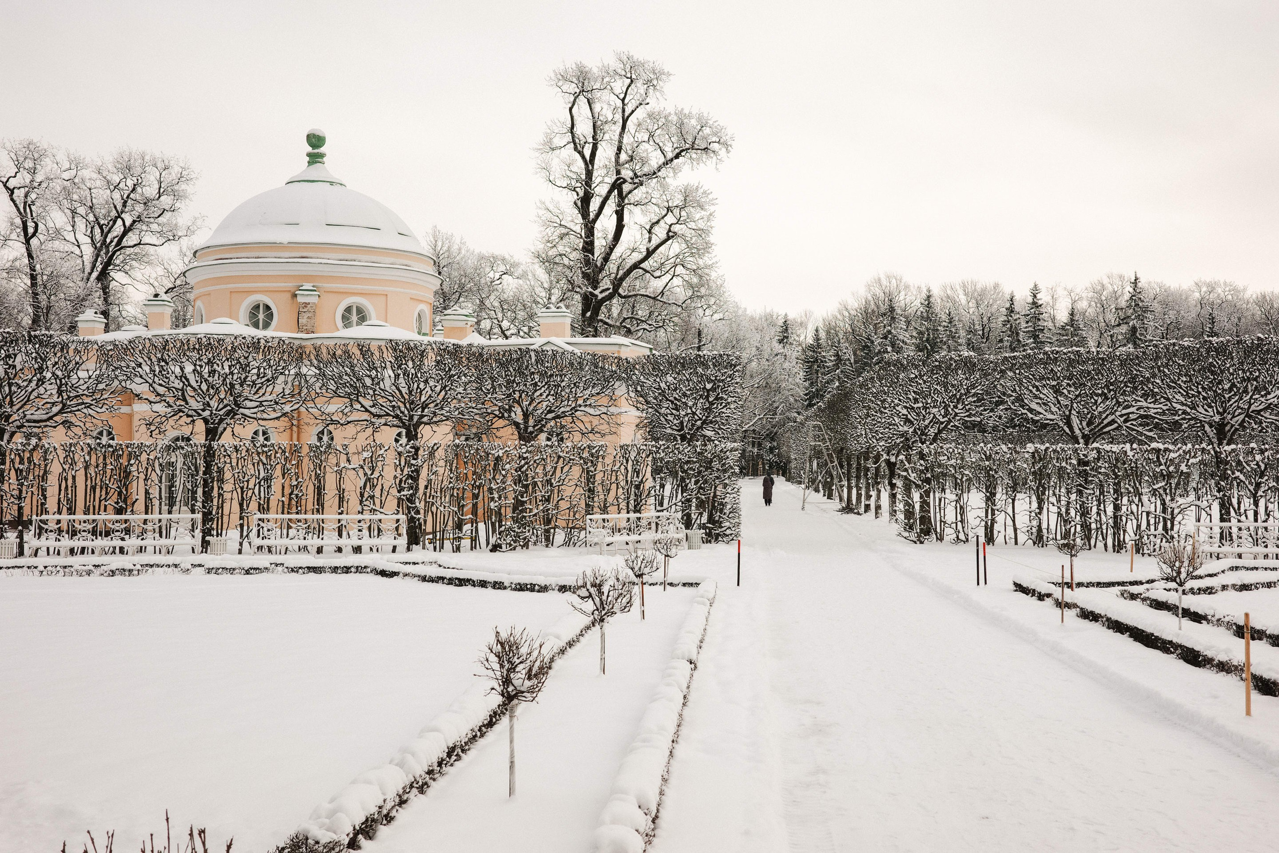 2025.02. Фотограф Алексей Алексеев