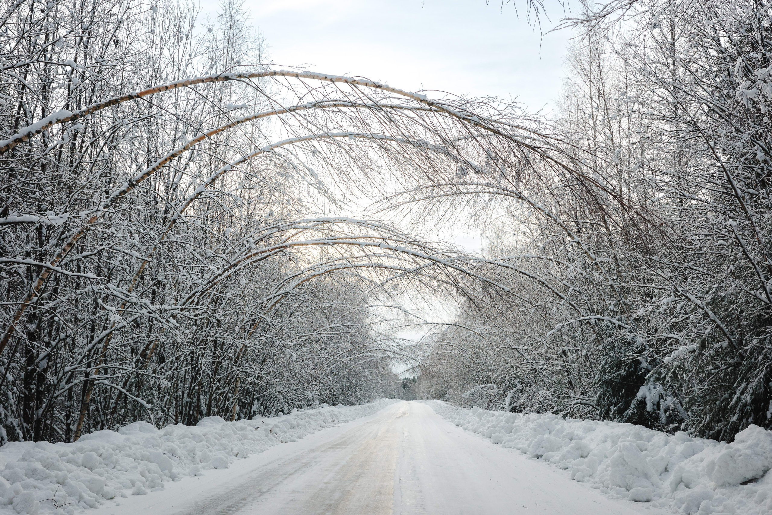2024.01. Фотограф Алексей Алексеев