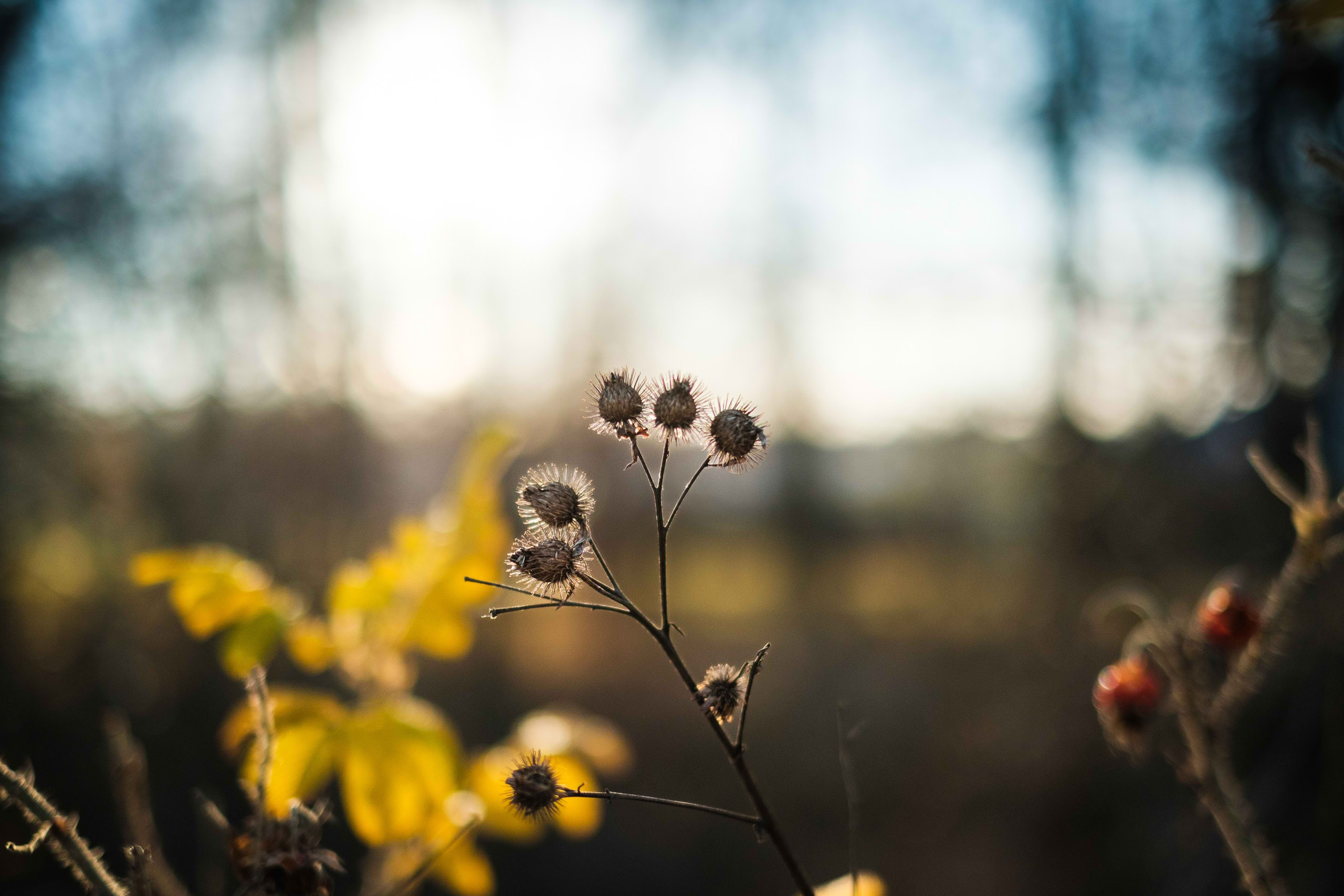 2021.11. Фотограф Алексей Алексеев