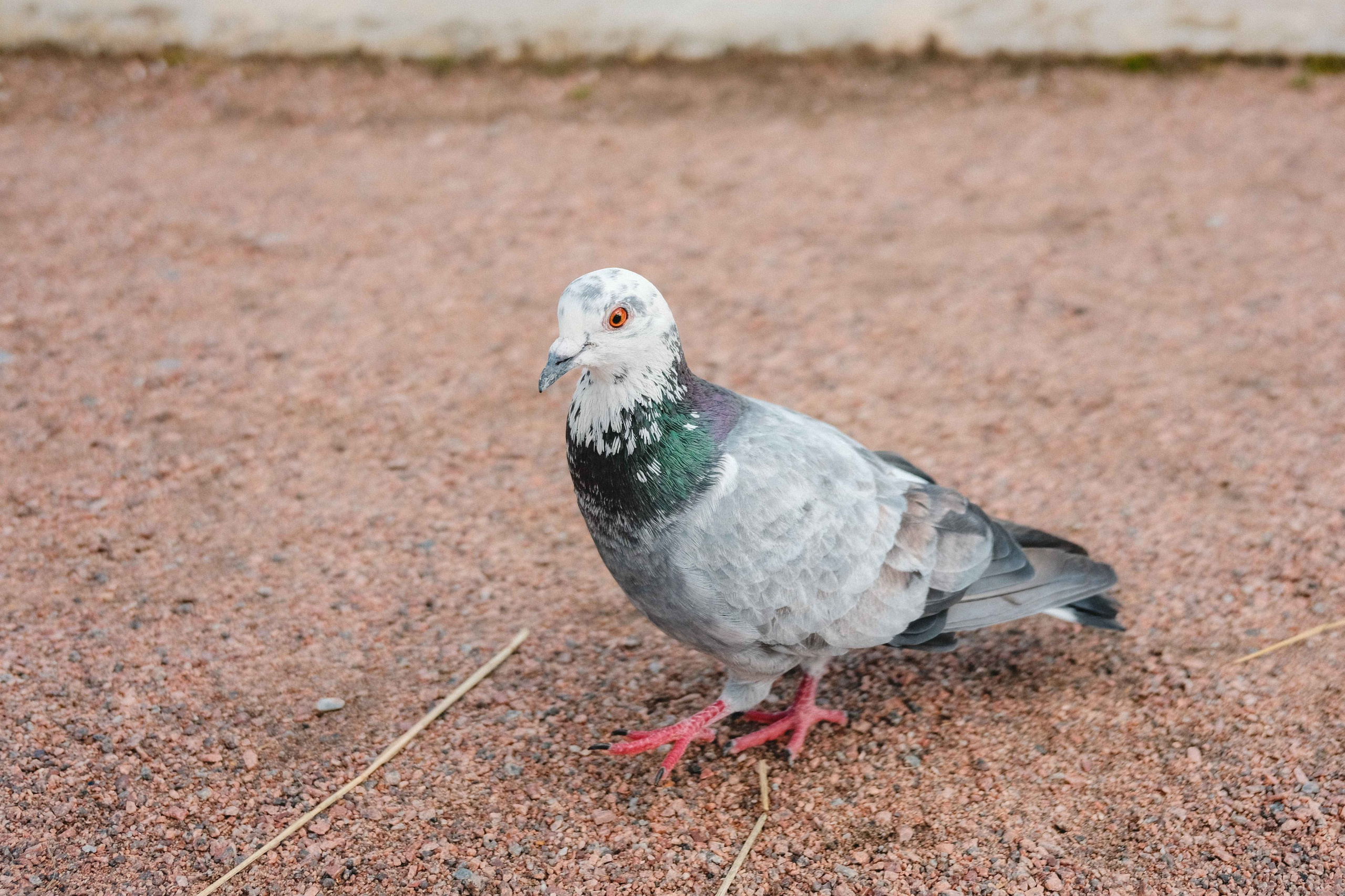 2023.07. Фотограф Алексей Алексеев